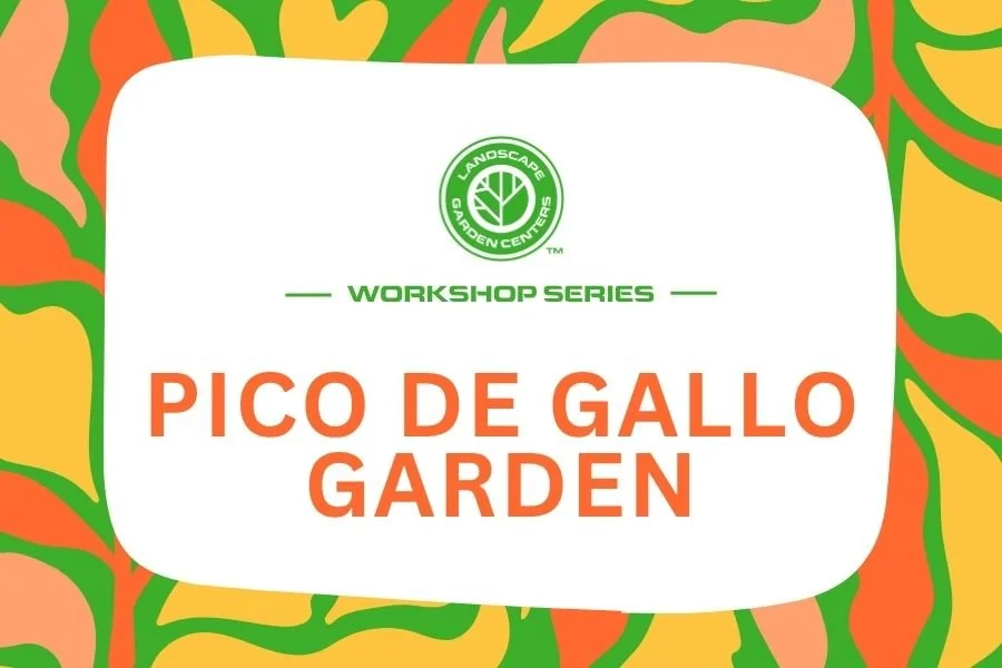 Pico de Gallo Garden Workshop