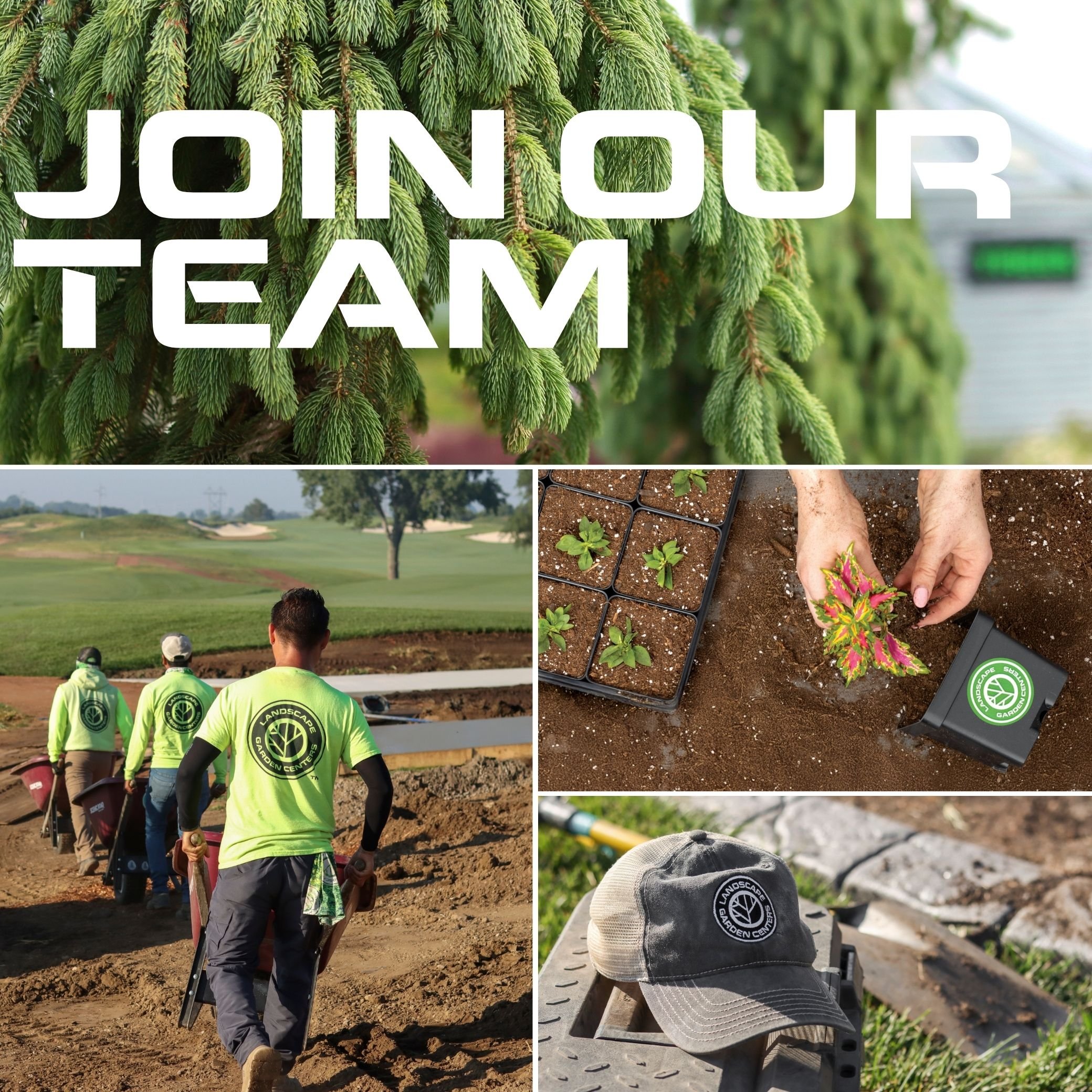 Spring Hiring Event - Walk-in Interviews 