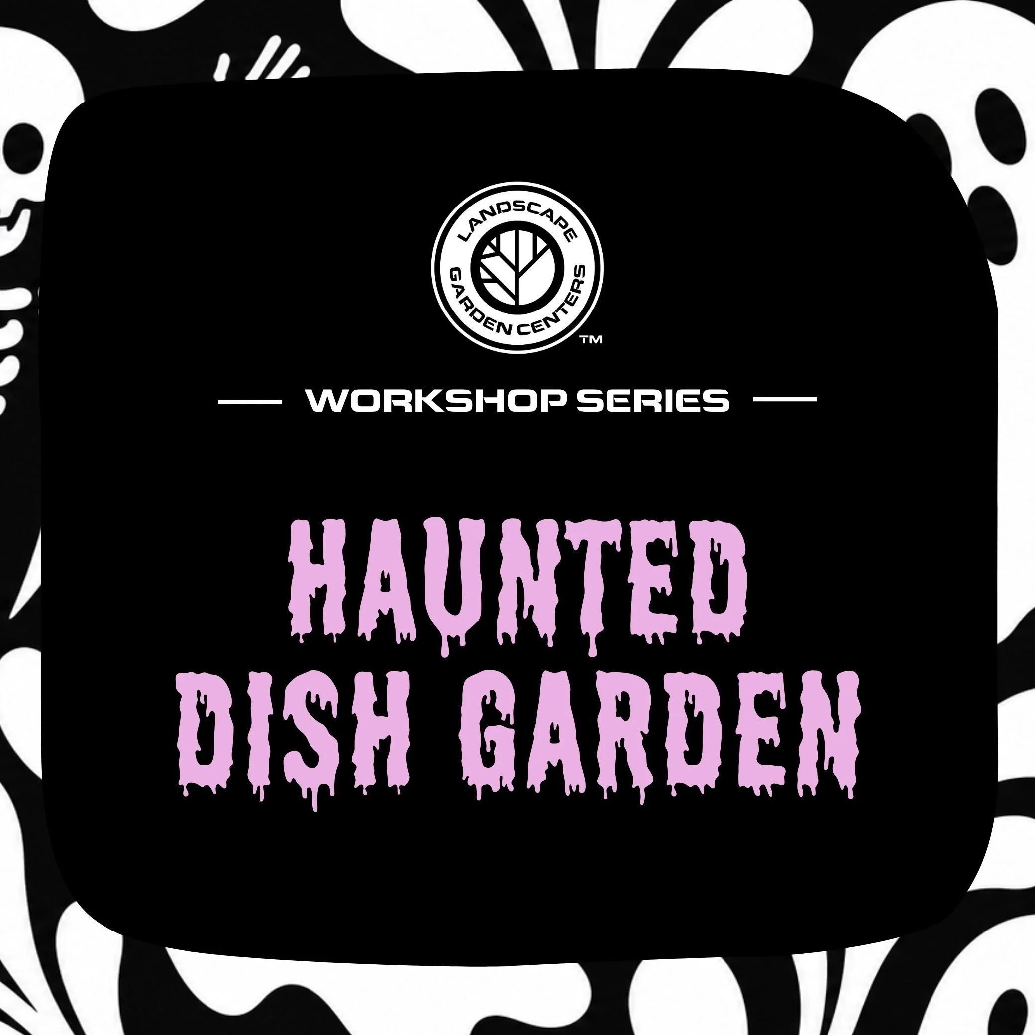 Haunted Dish Garden Workshop