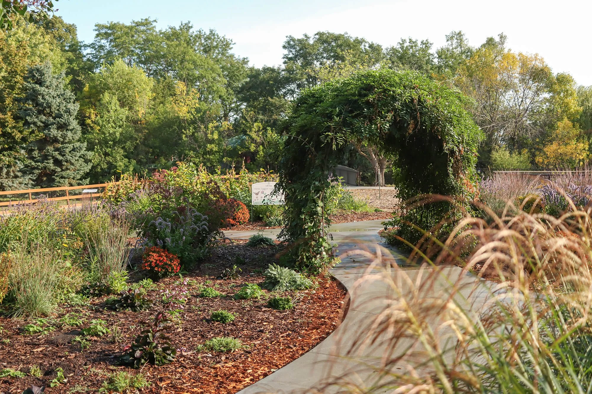 Pollinator Garden_web.jpg