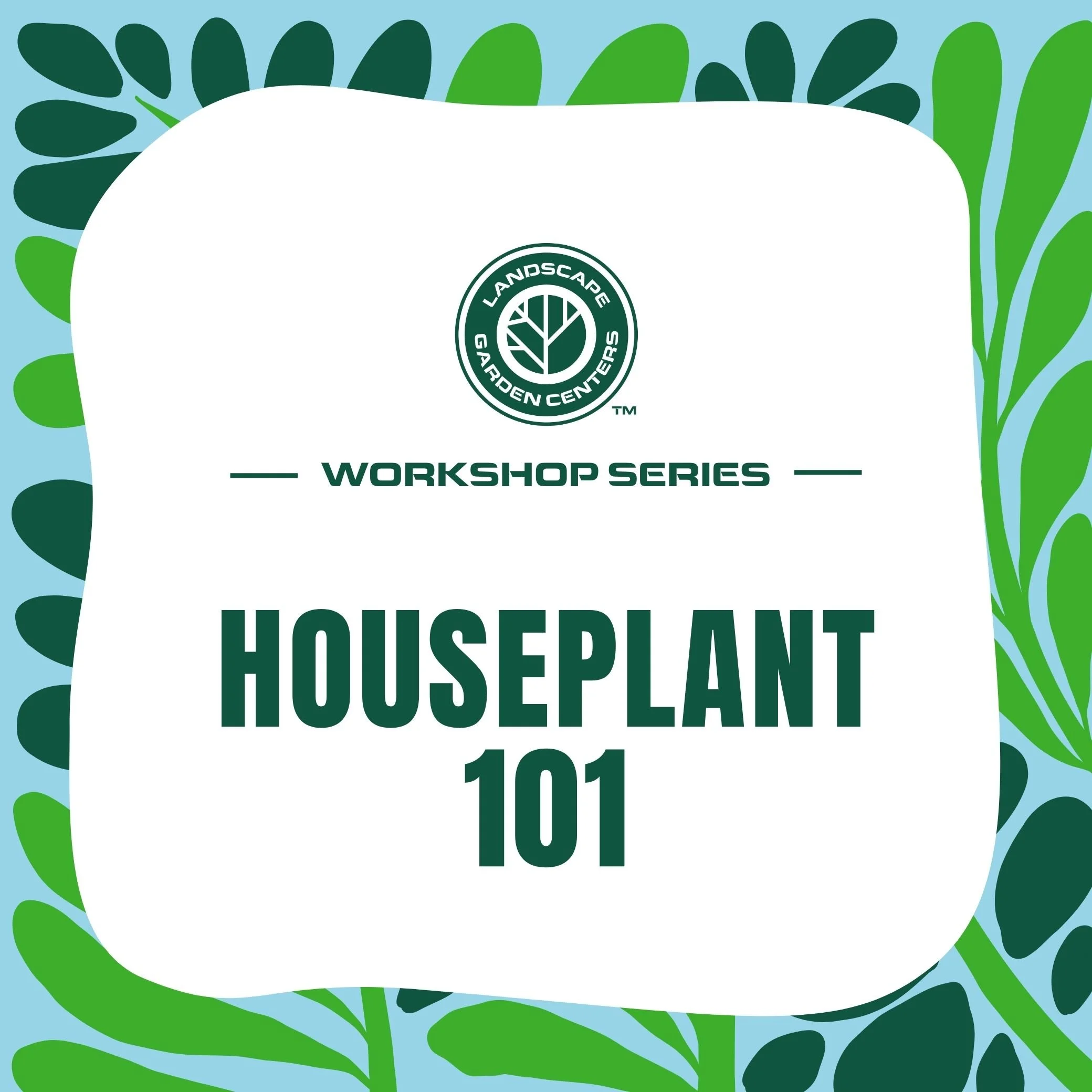 Houseplant 101 SQ (2).jpg