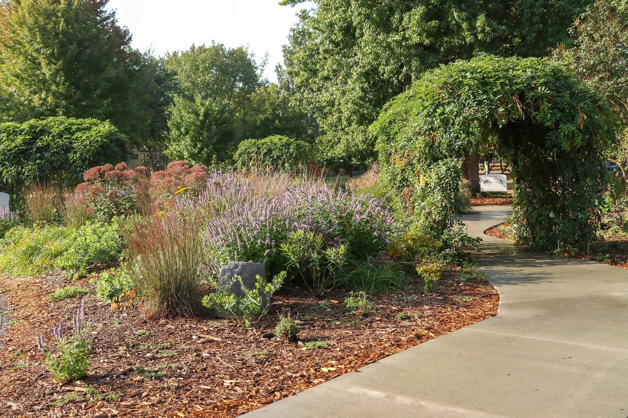 Pollinator Garden__5_web.jpg
