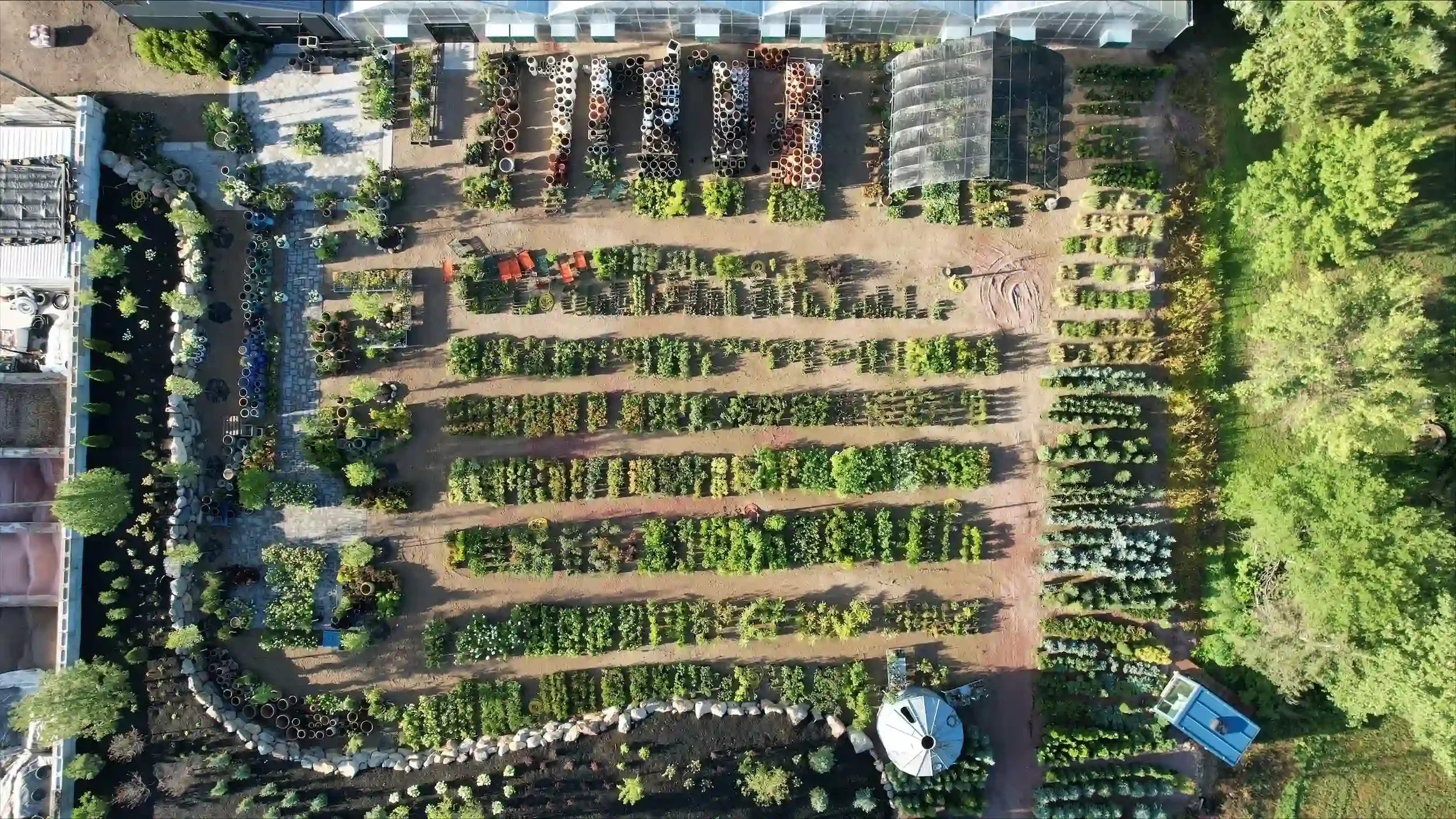 drone shot above the garden