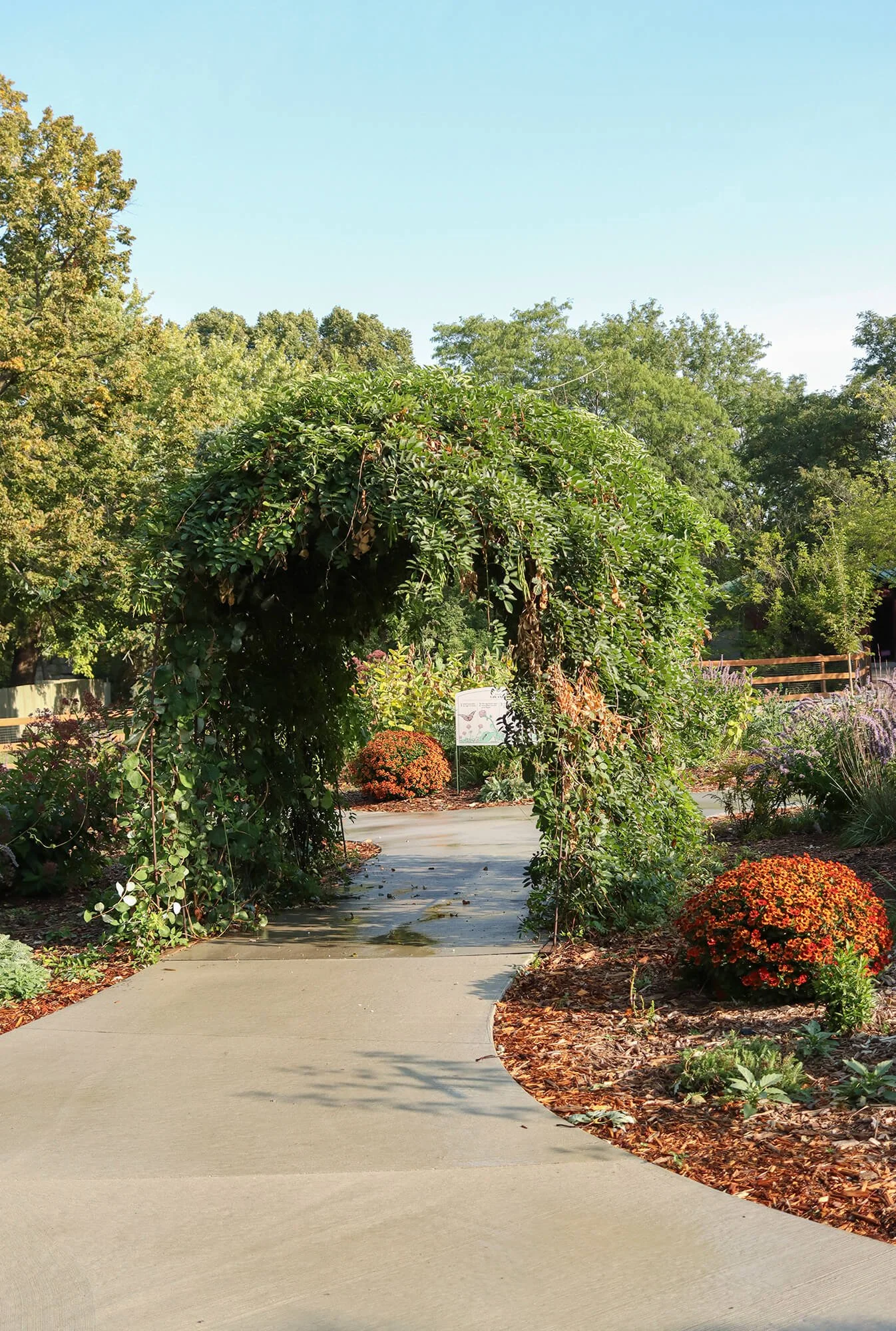 Pollinator Garden__2_web.jpg
