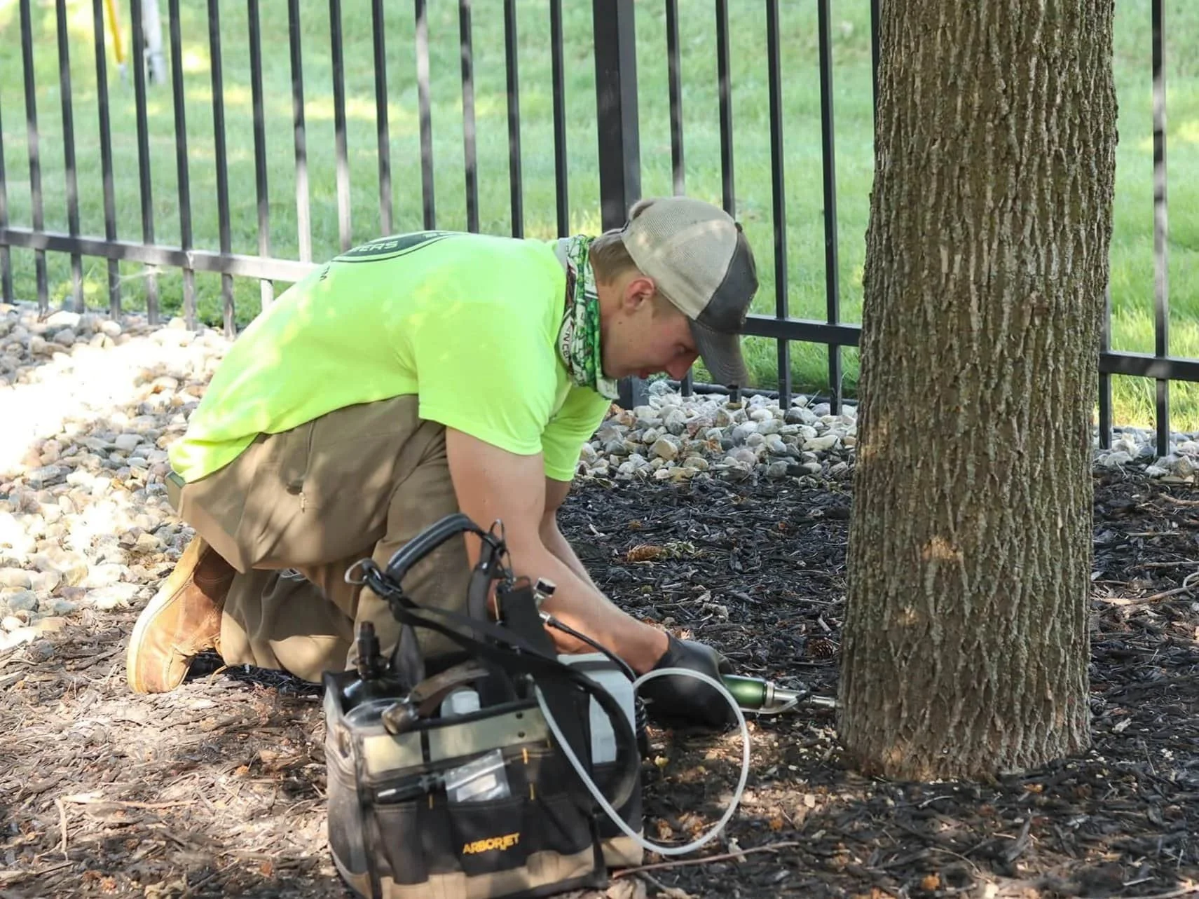 Carter Tobin providing treatment to a tree