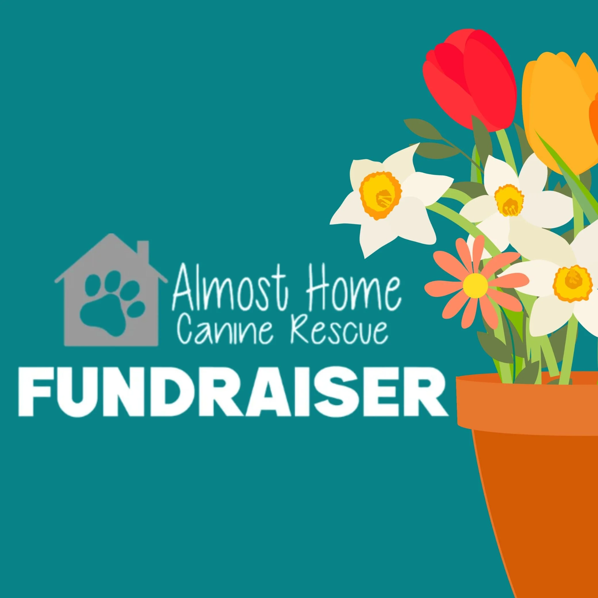 Almost Home Canine Rescue Spring Fundraiser