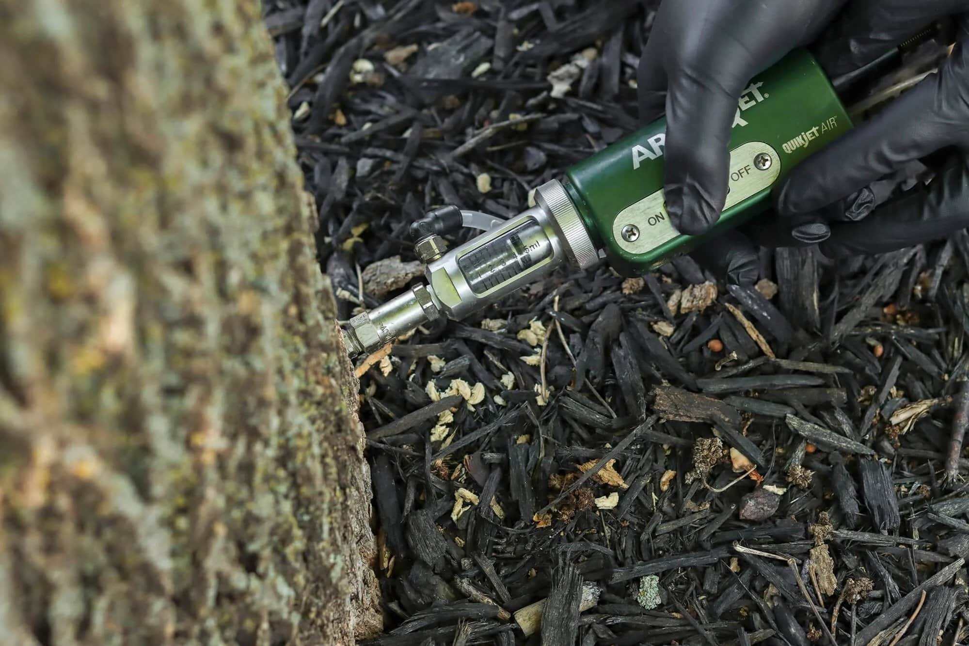close up of a tree injection treatment