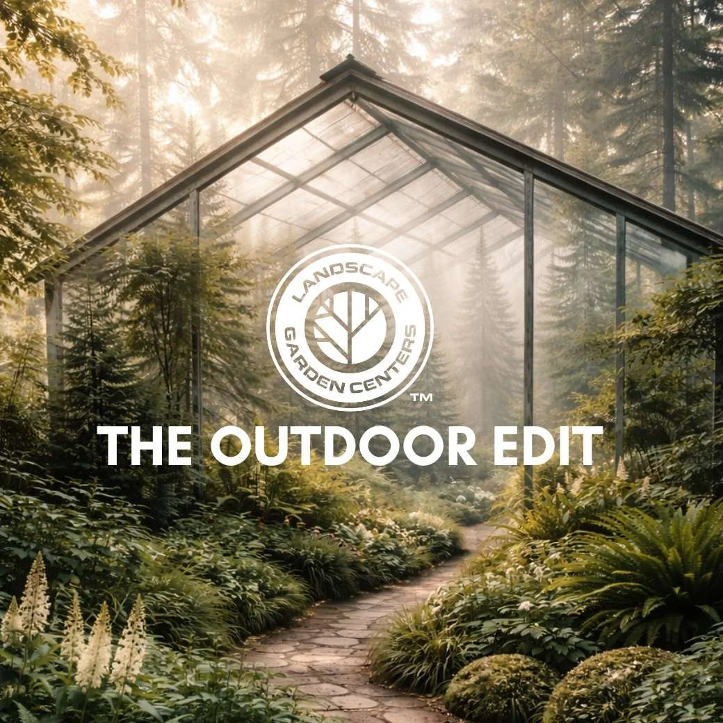 The Outdoor Edit