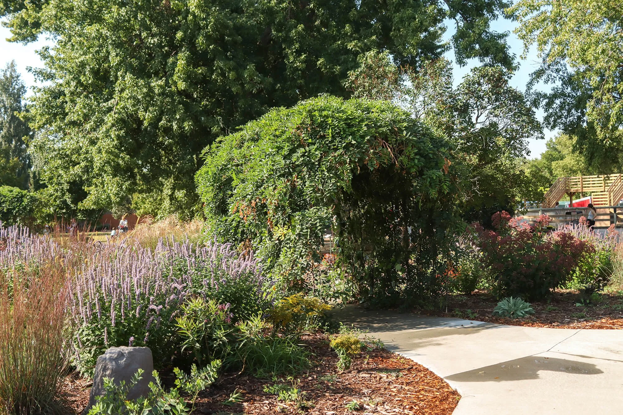 Pollinator Garden__8_web.jpg