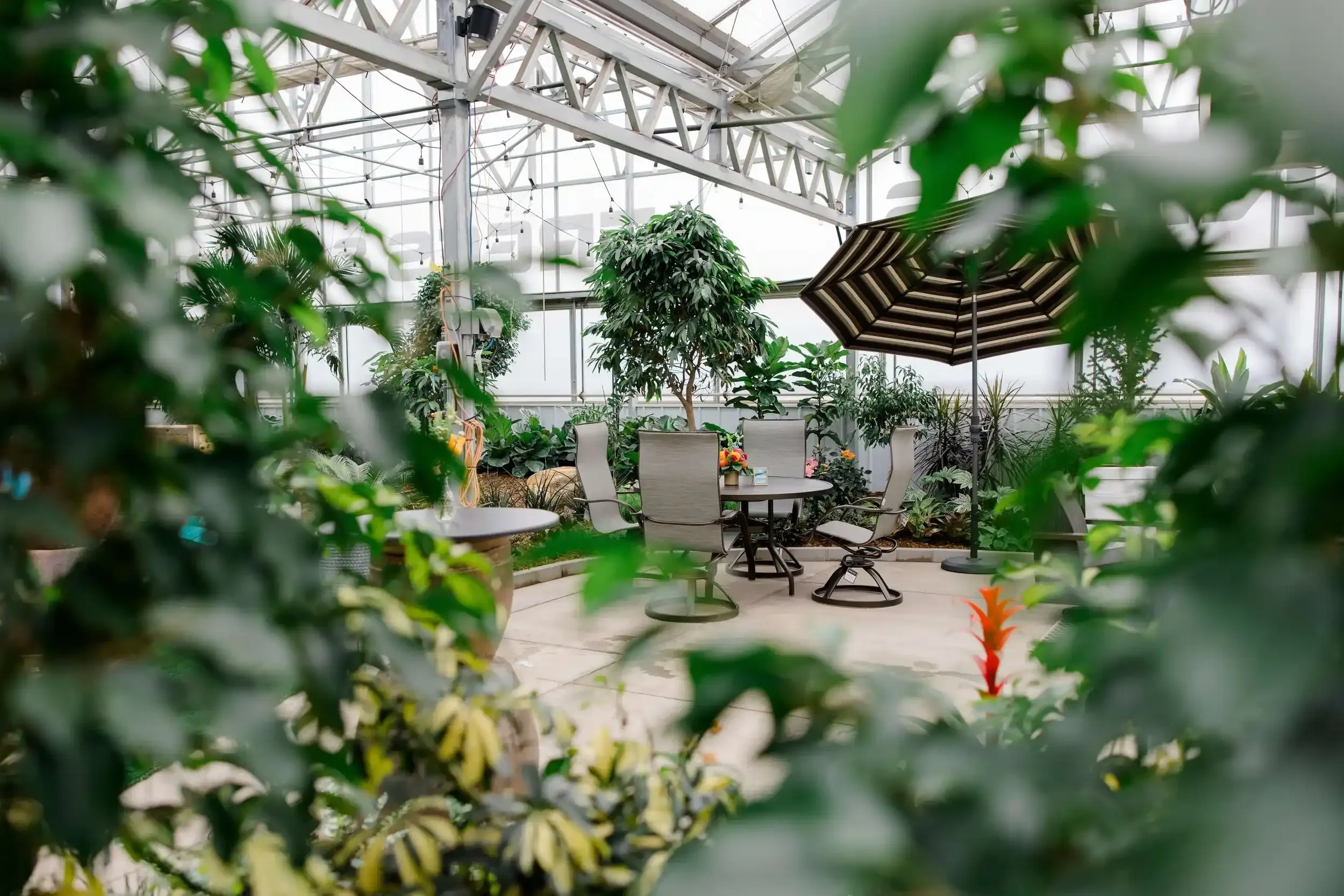 seating area inside the garden center