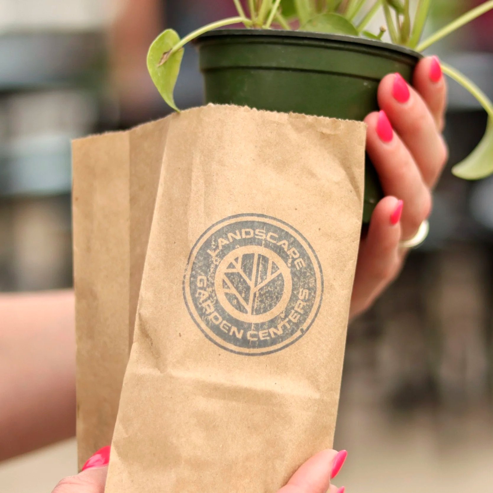 someone putting a plant in a brown paper sack with the landscape garden centers logo