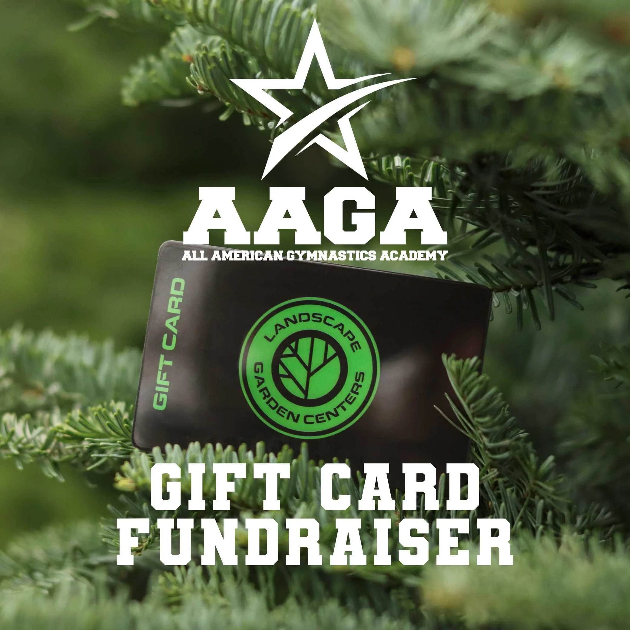 All American Gymnastics Academy Gift Card Fundraiser