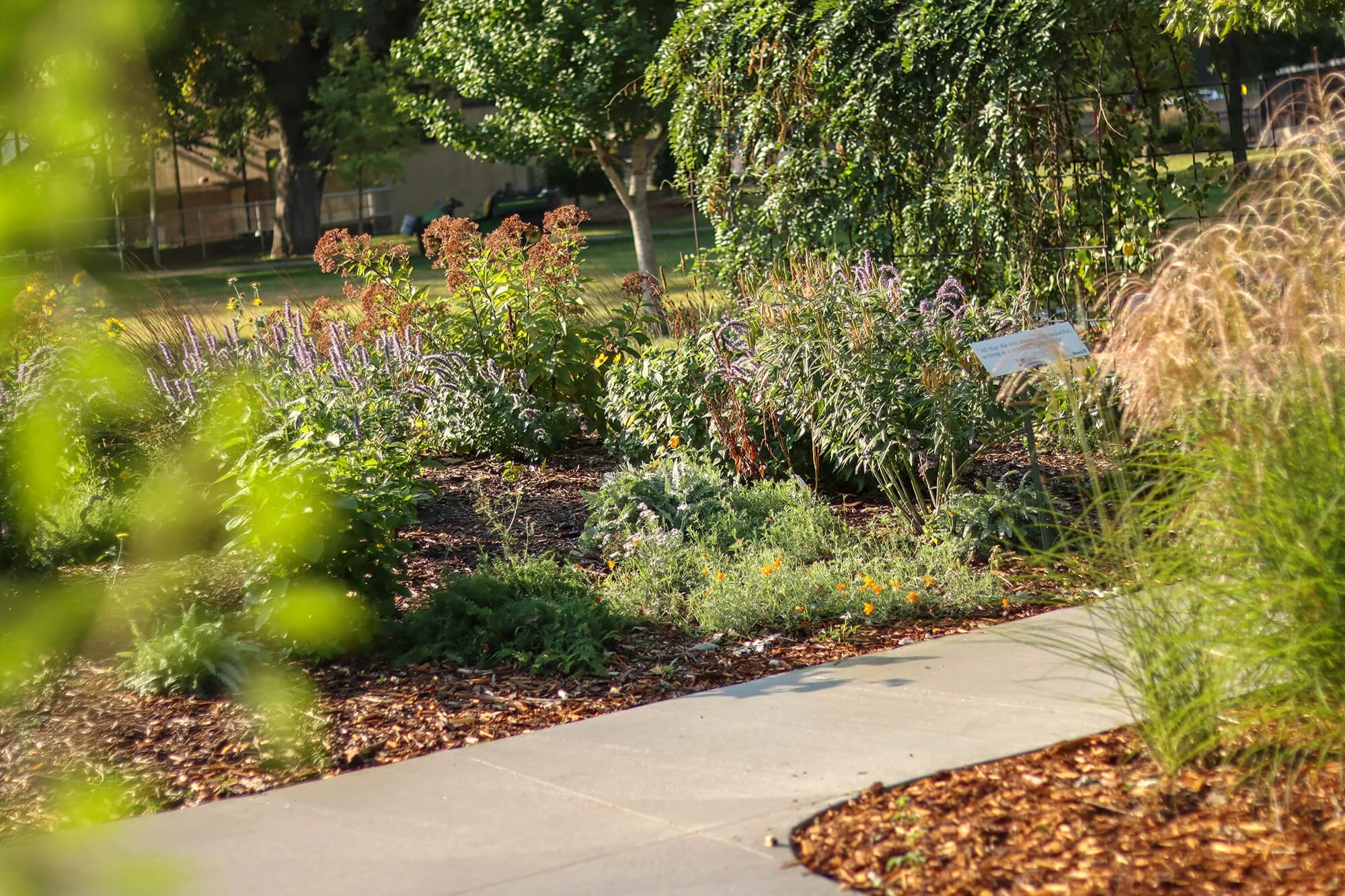 Pollinator Garden__6_web.jpg