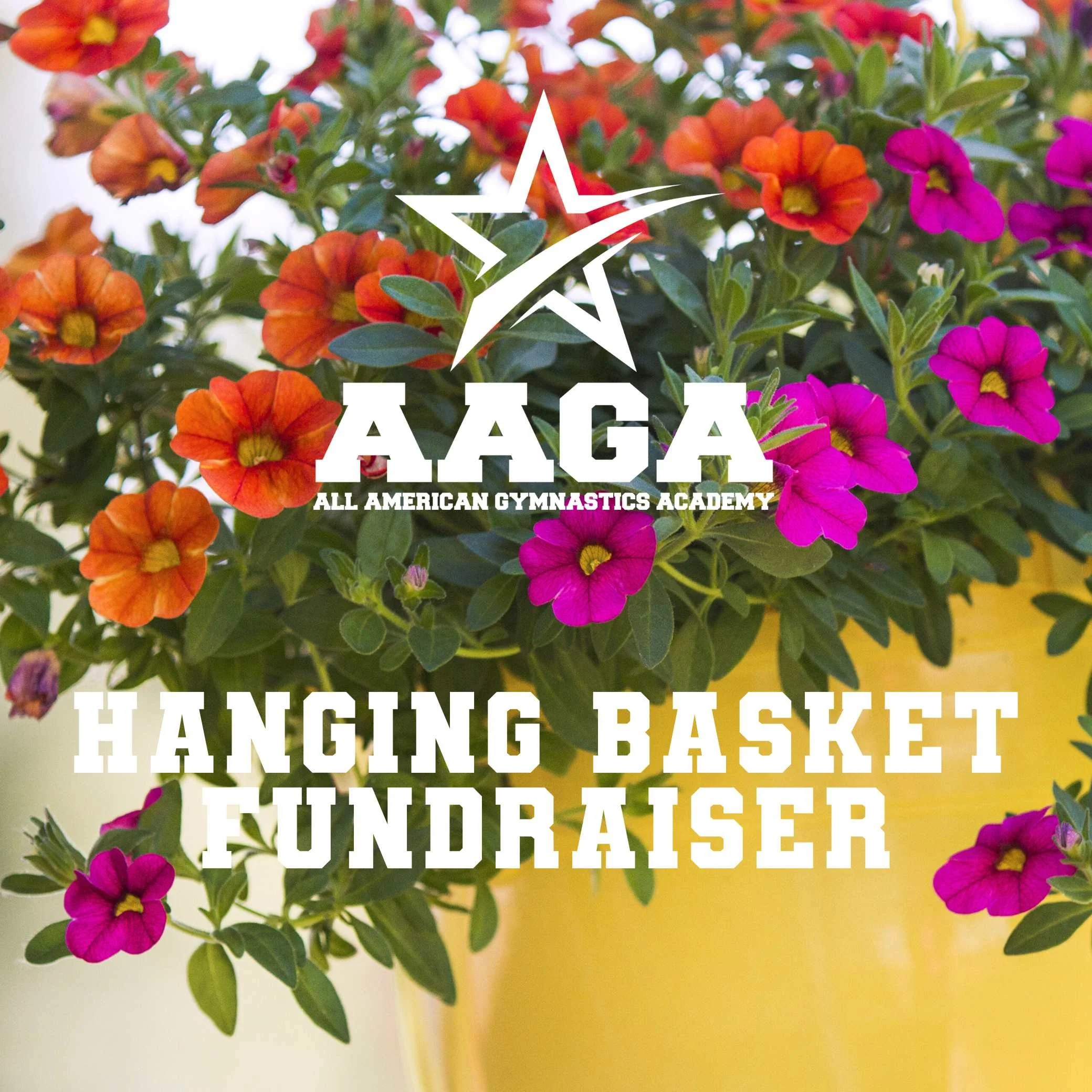 All American Gymnastics Academy Hanging Basket Fundraiser