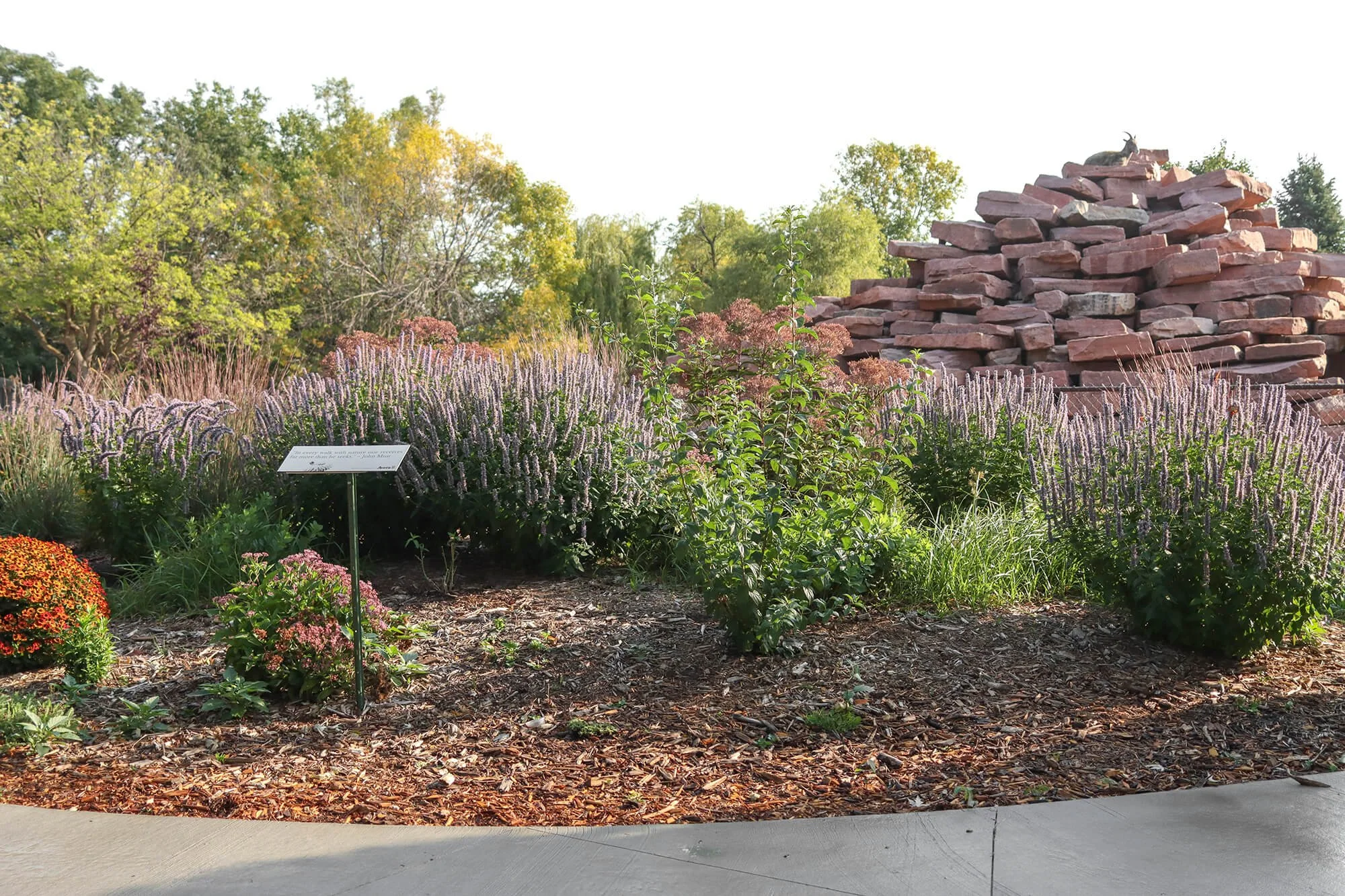 Pollinator Garden__1_web.jpg