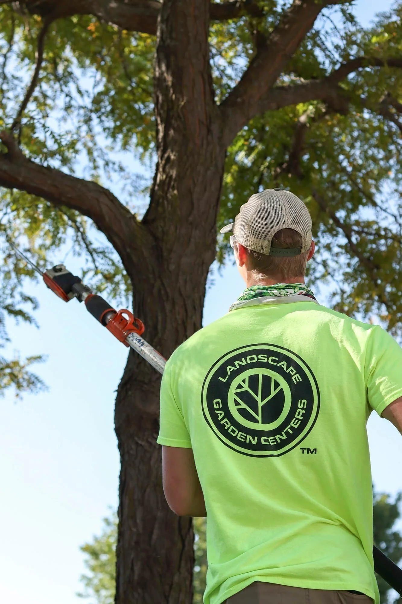 Carter trimming trees