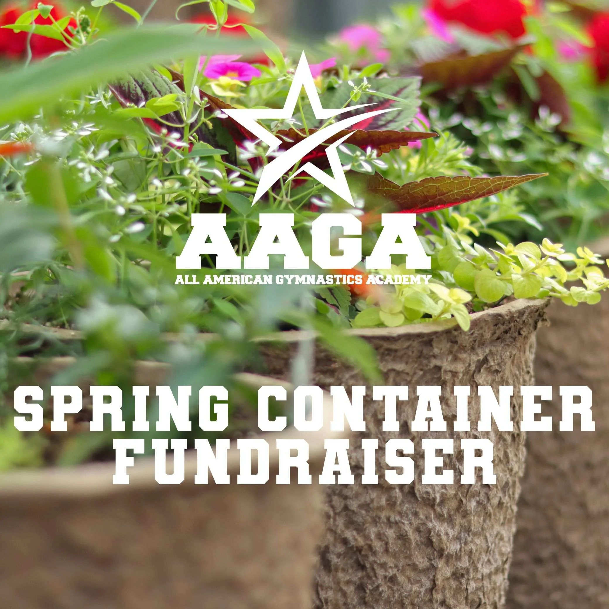 All American Gymnastics Academy Spring Container Fundraiser