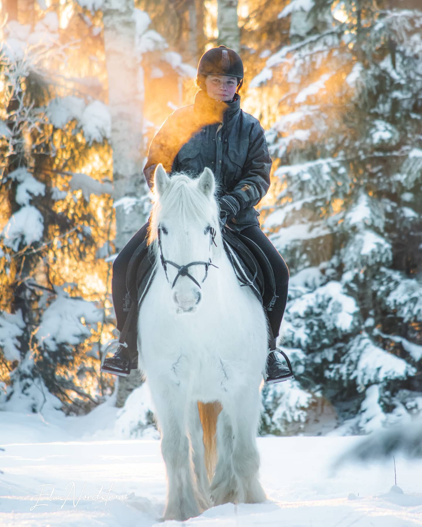 From last weeks photoshoot📷🐴

#enordstromphotography #eliasnordstromproductions #horse #riding #winter #sun 

_______________

Want to book me as a photographer? 
➡️ eliasnordstromproductions.com