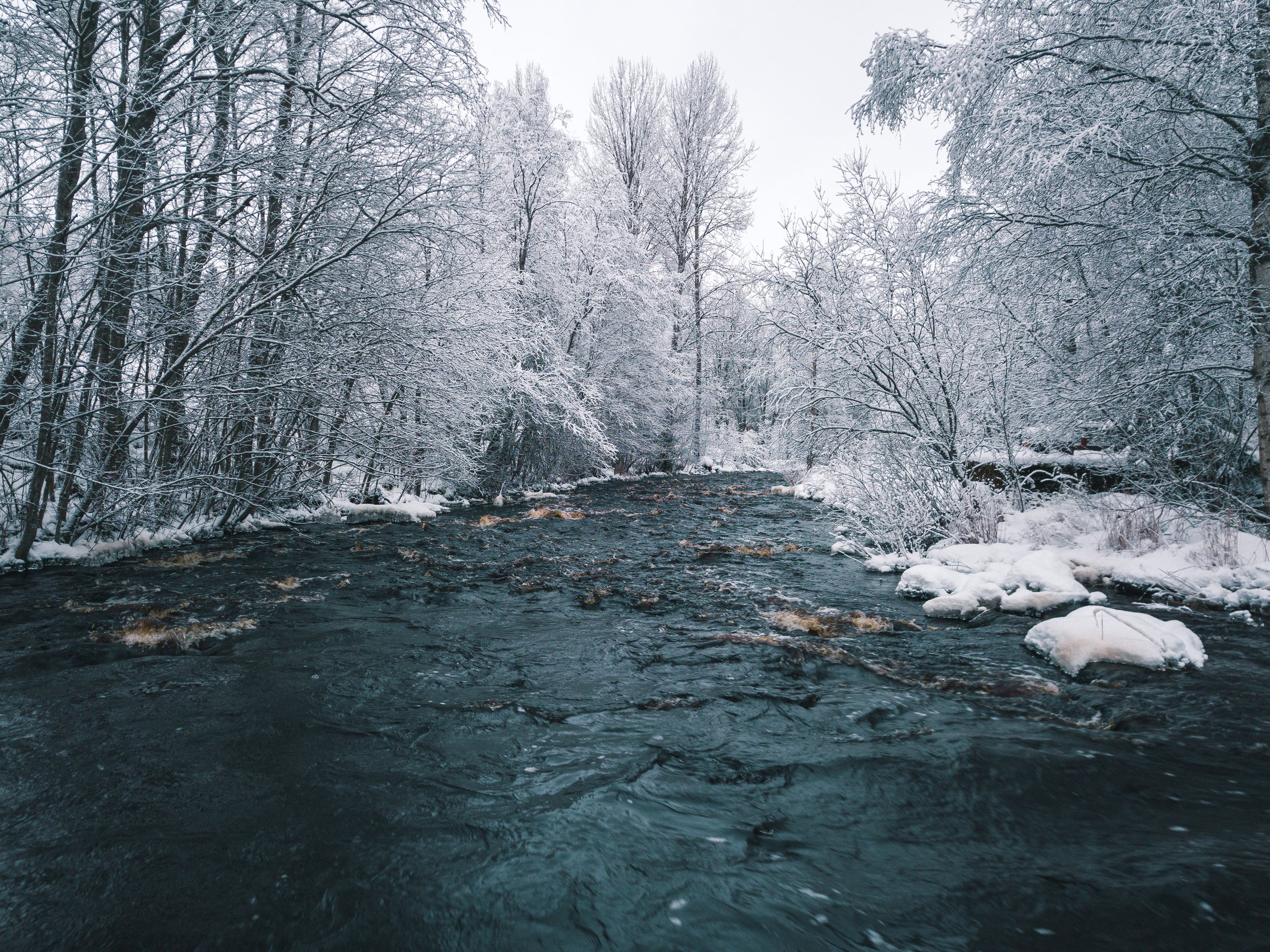 Vinter_kortjärvi-7.jpg