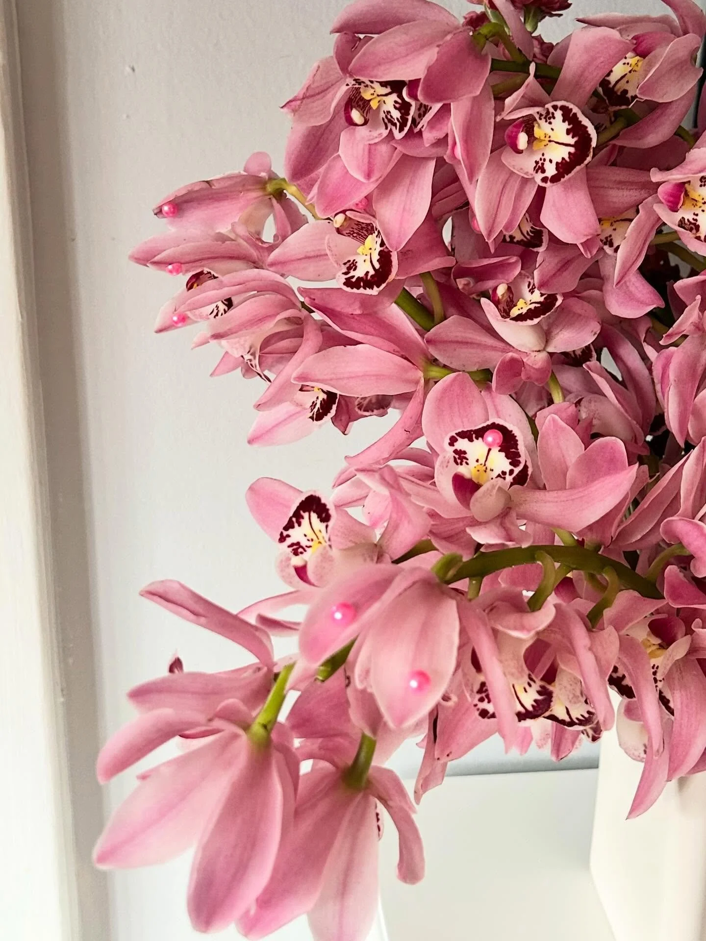 love a little bedazzle moment 💎🩷