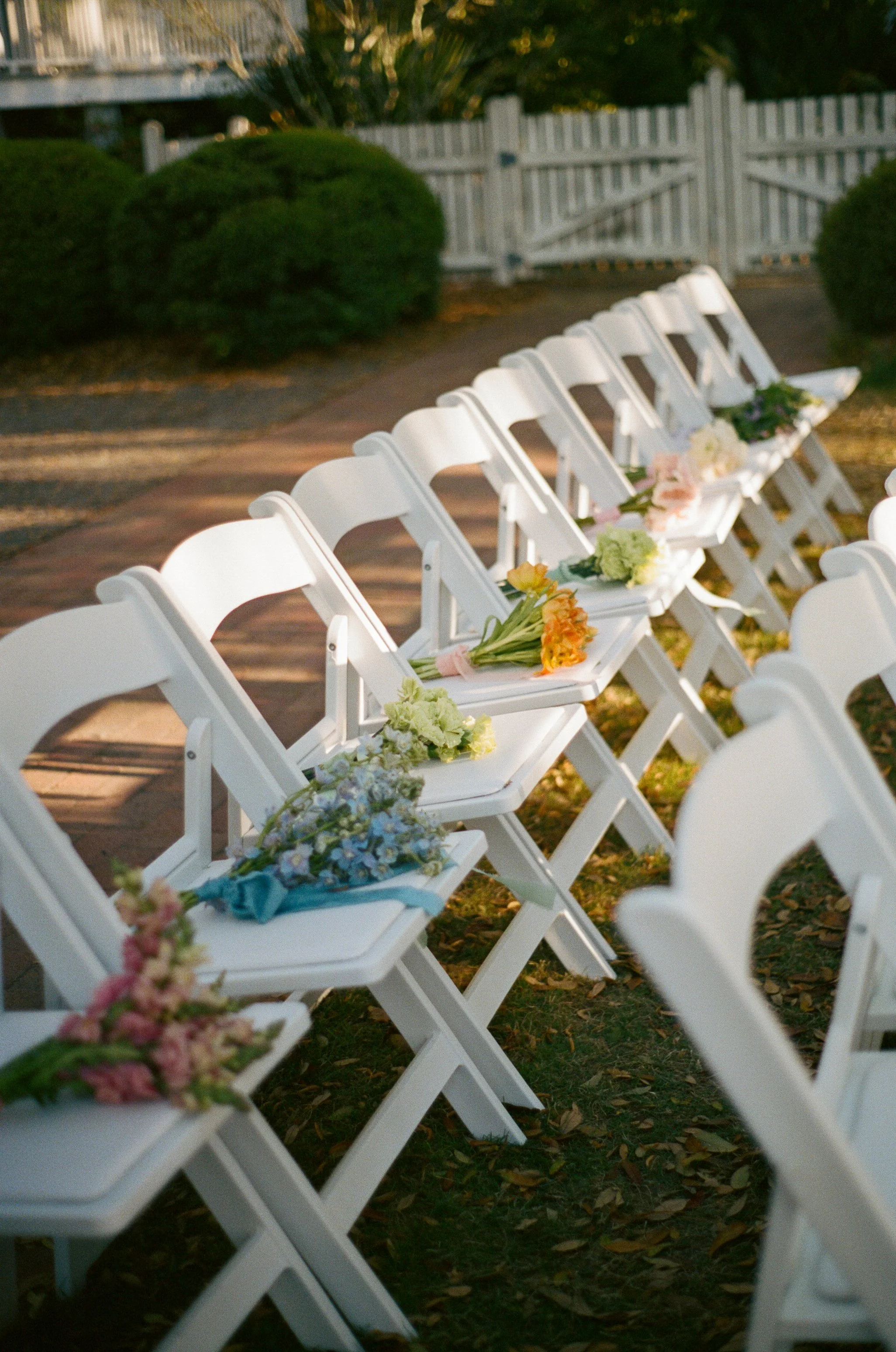 Film(31of42).jpg