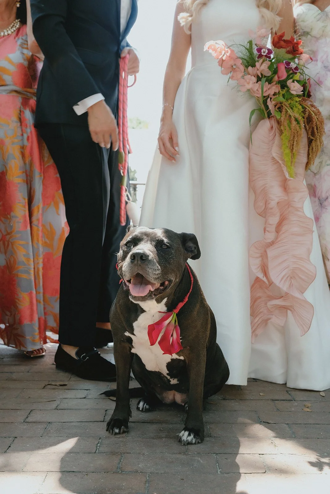 KatieandJesse_0251.jpg