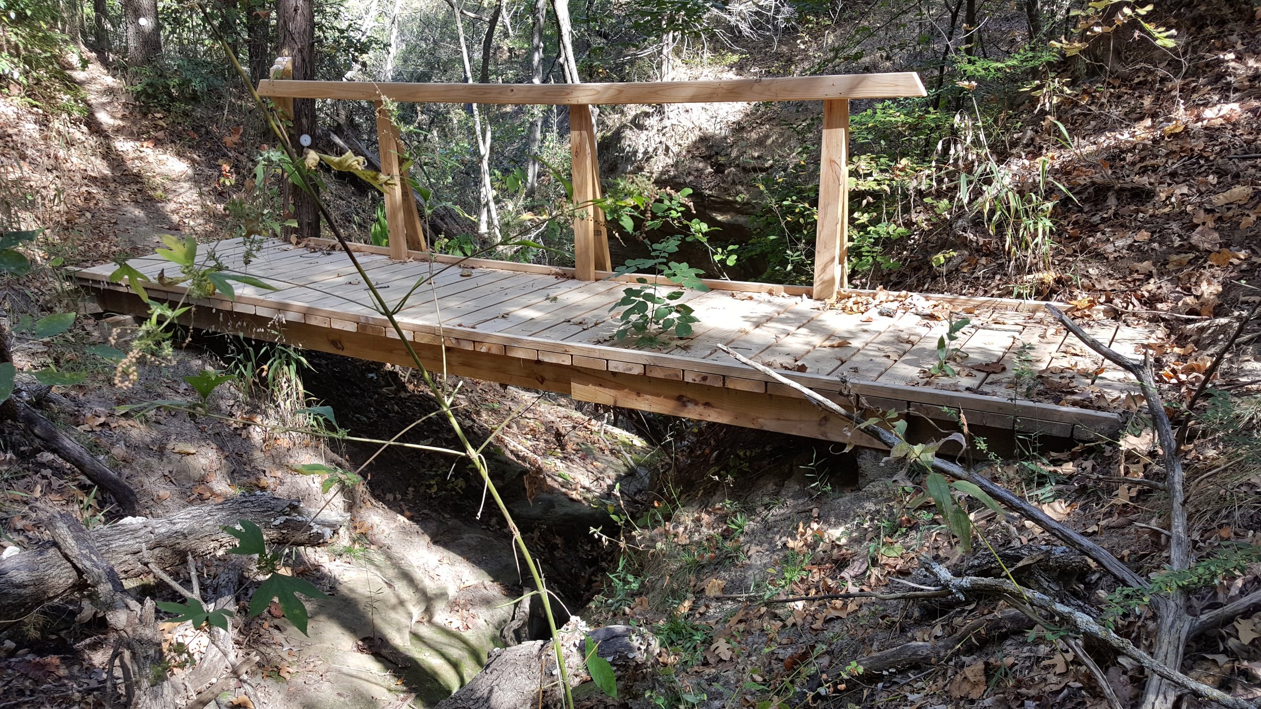 Picture shows the need for the trail bridge.