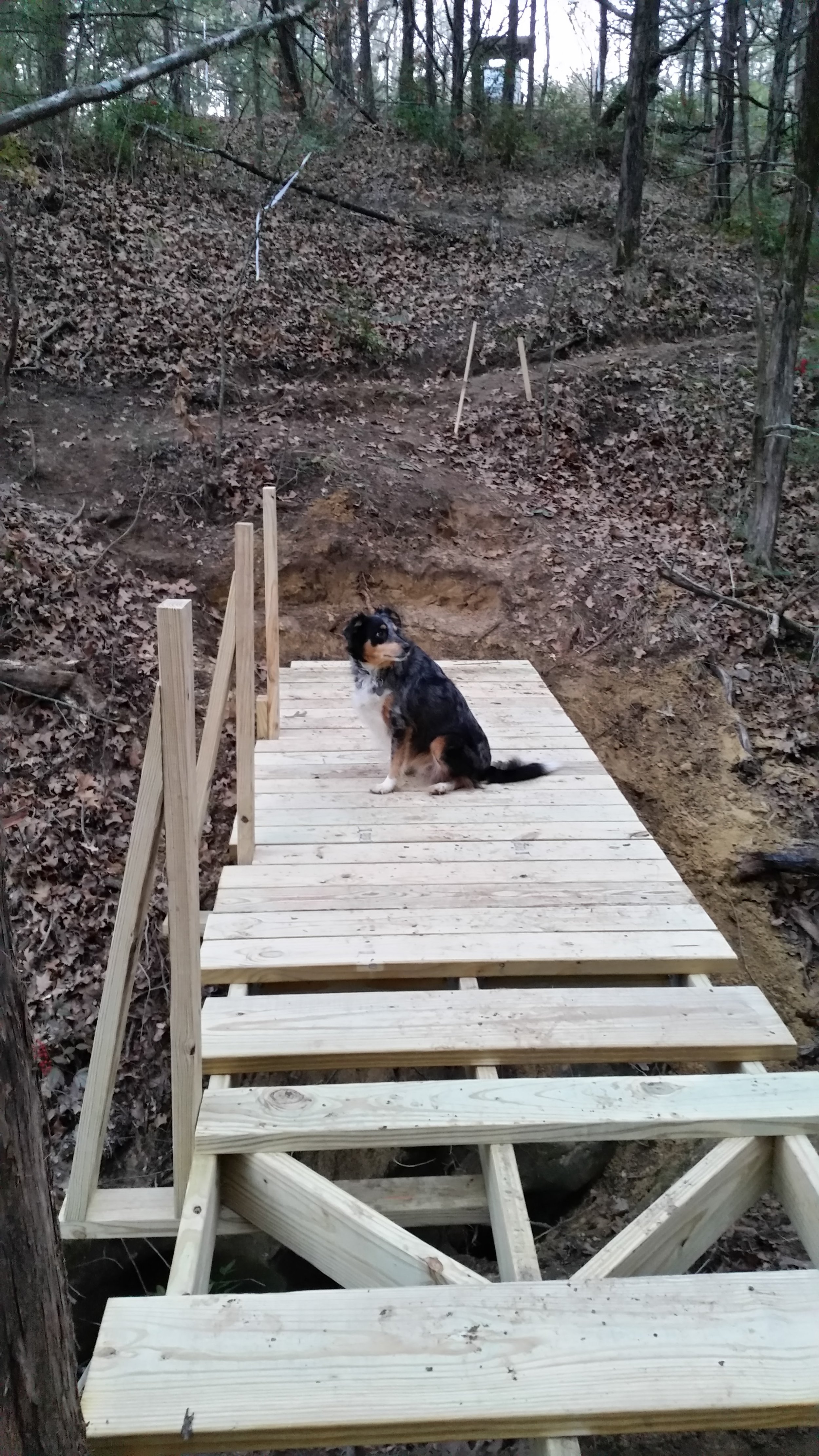 Bridge decking being laid. Dalia is testing it out!