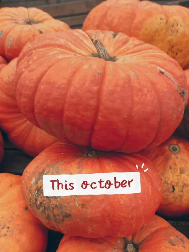 ✨ October Reflections &amp; A November Beginning ✨

October was&hellip; a lot. 🍂 Between deadlines, the stupid Instagram algorithm, and all the digital noise, I hit a point where I just needed to breathe again. My visibility online felt non-existent