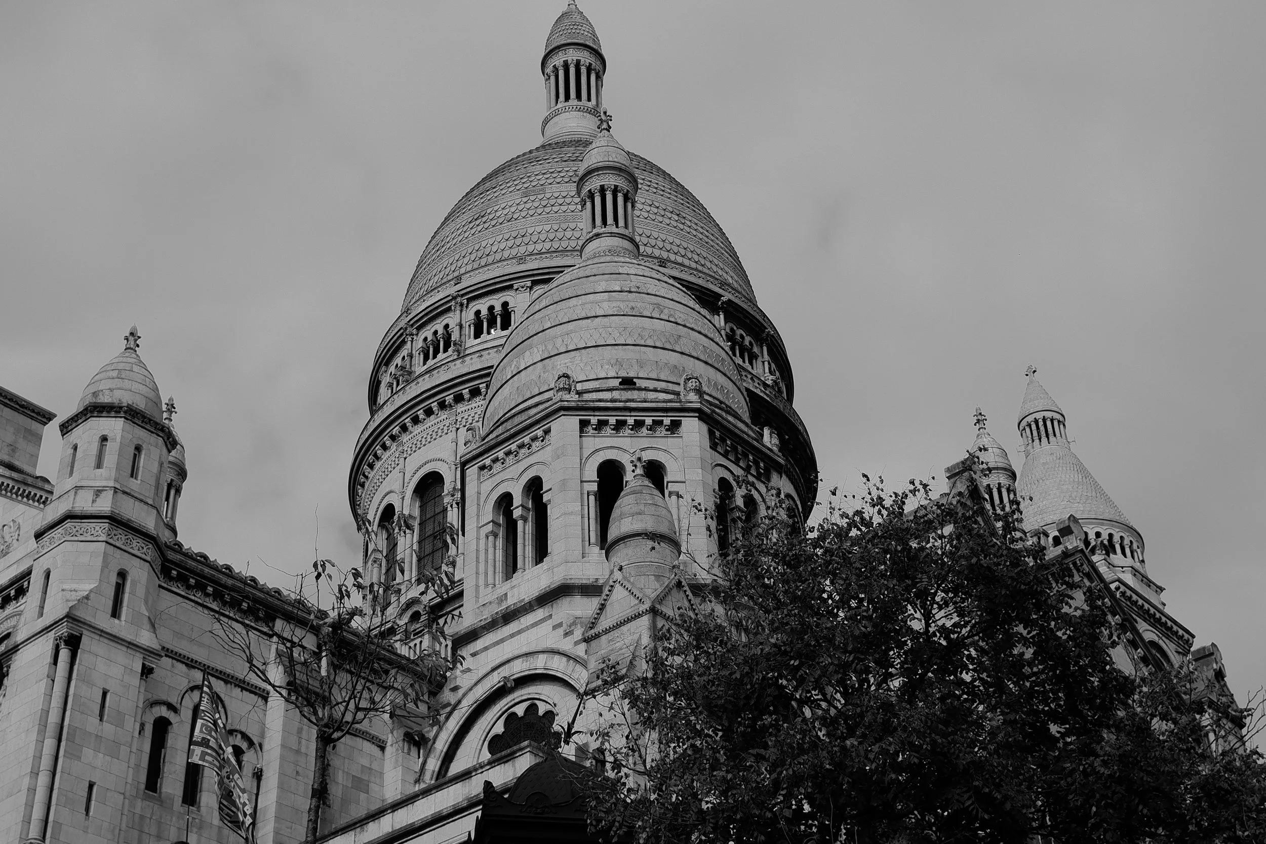 DSCF0515.JPG