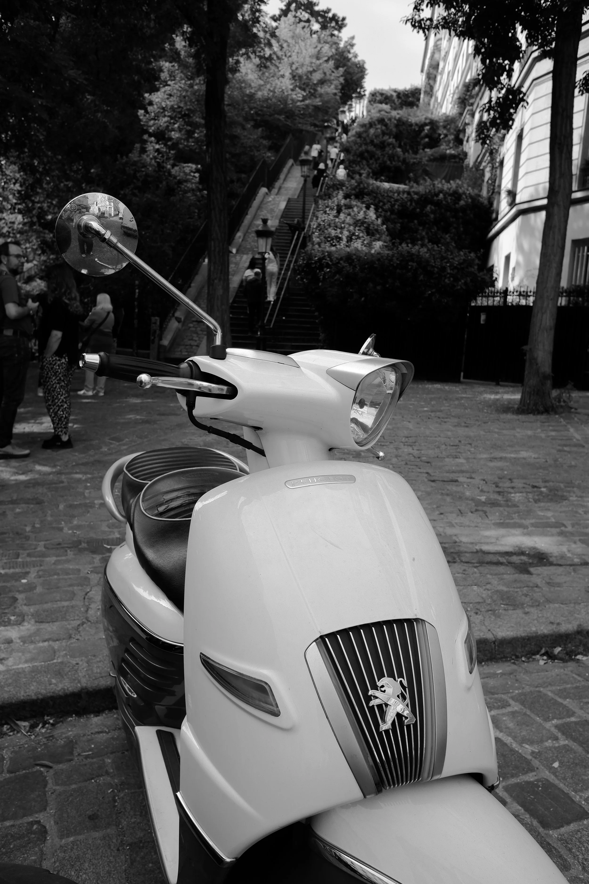 DSCF0507.JPG