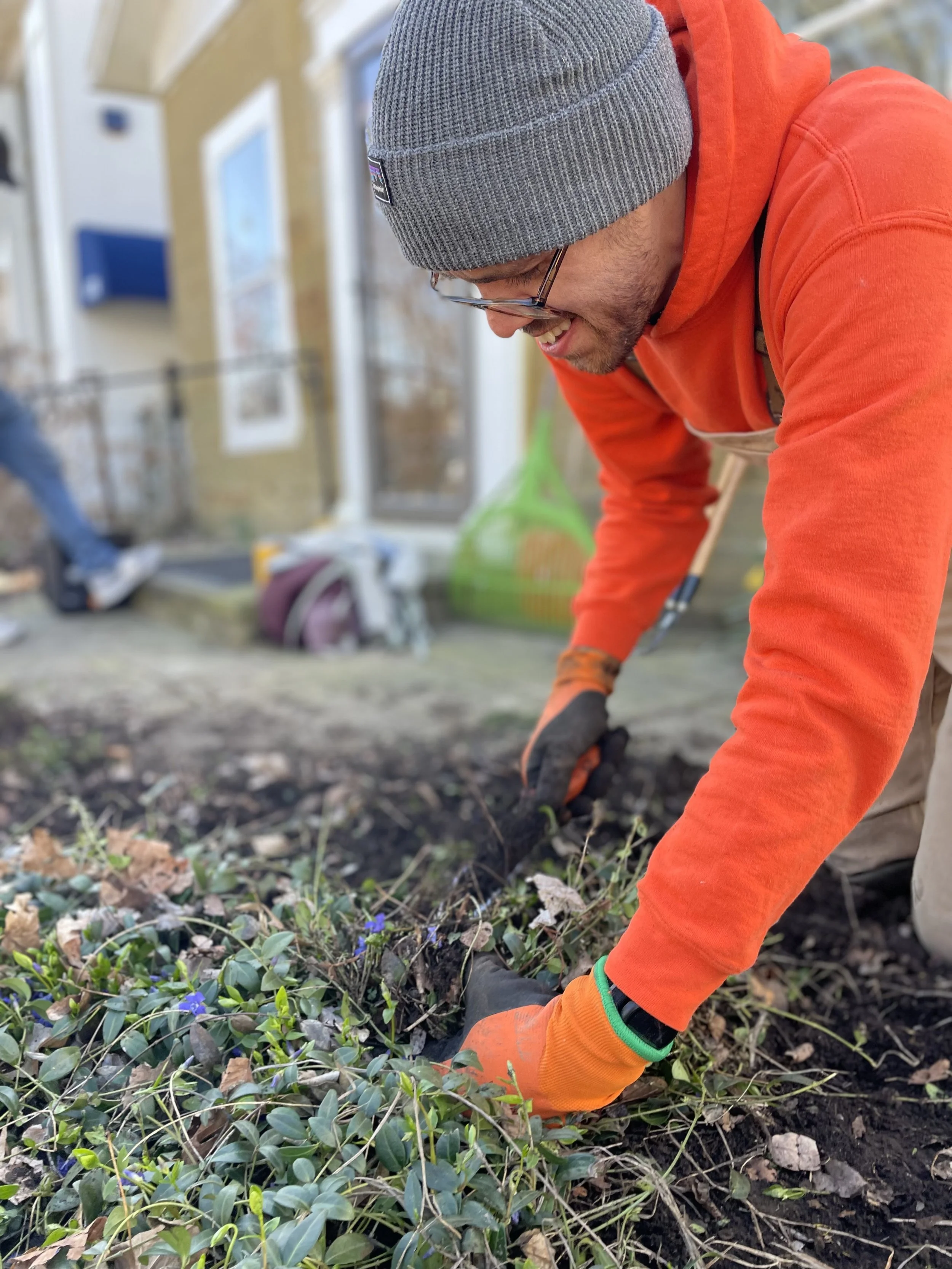 DIY landscape installation