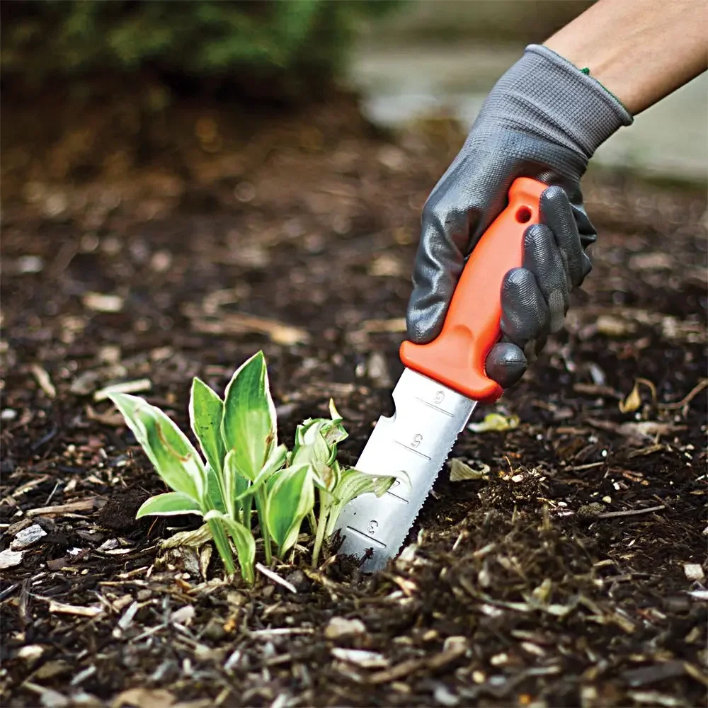 A person digging up a plant in soil using an A.M. Leonard Deluxe Soil Knife