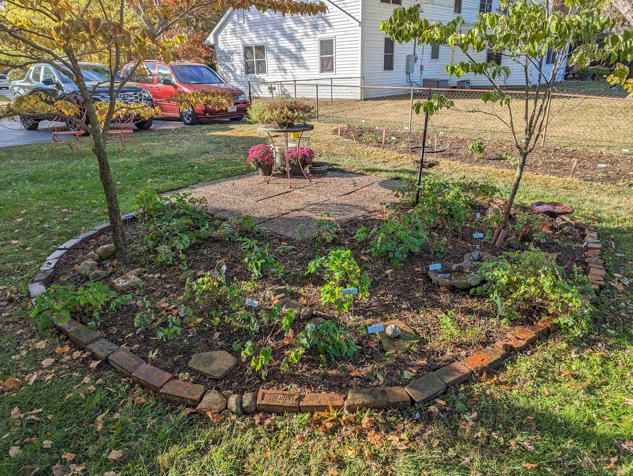 ohio-native-concepts-landscape-columbus-pollinator-flower-garden-design-ecological_45_1_500.jpg