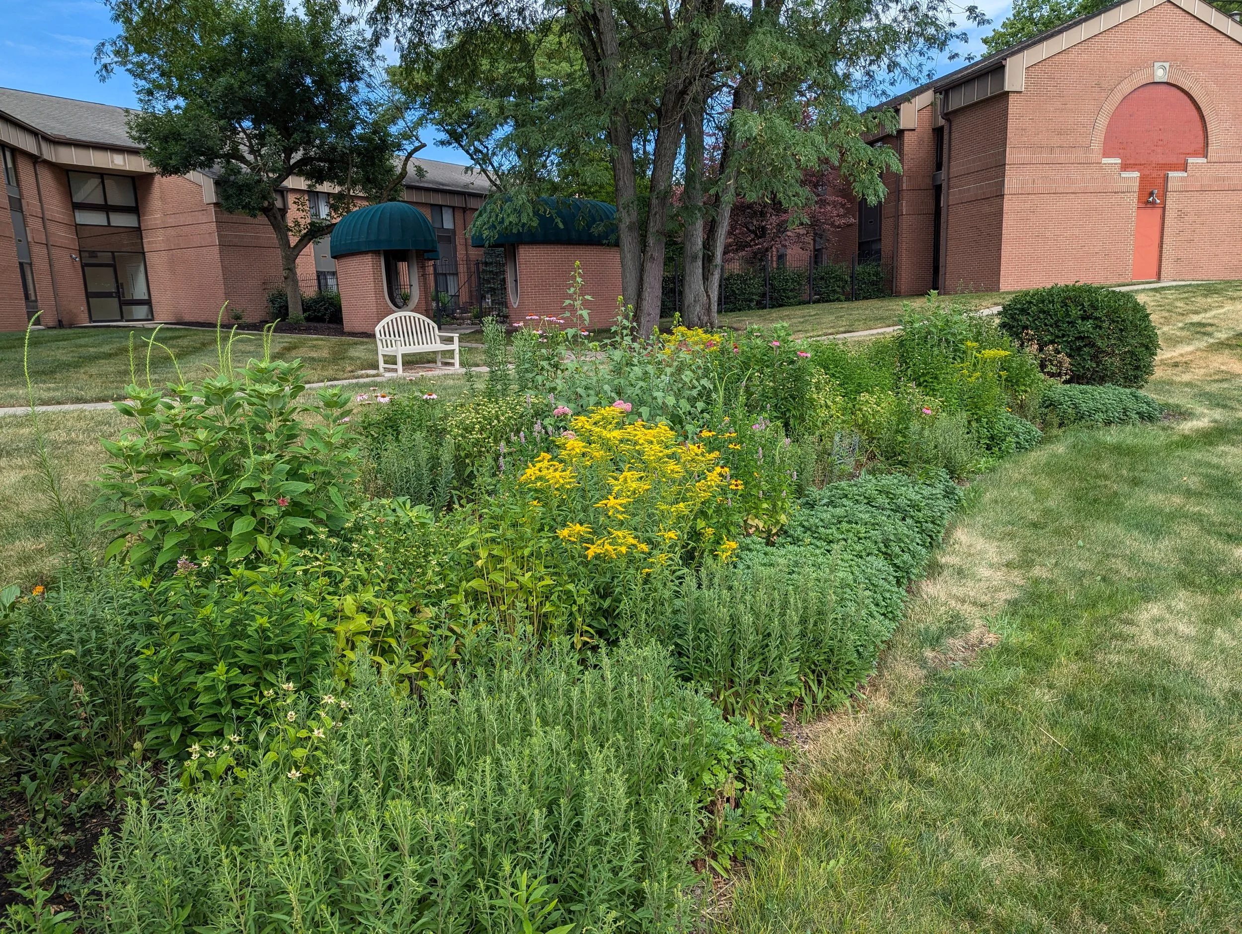 Layered wildflower island planting