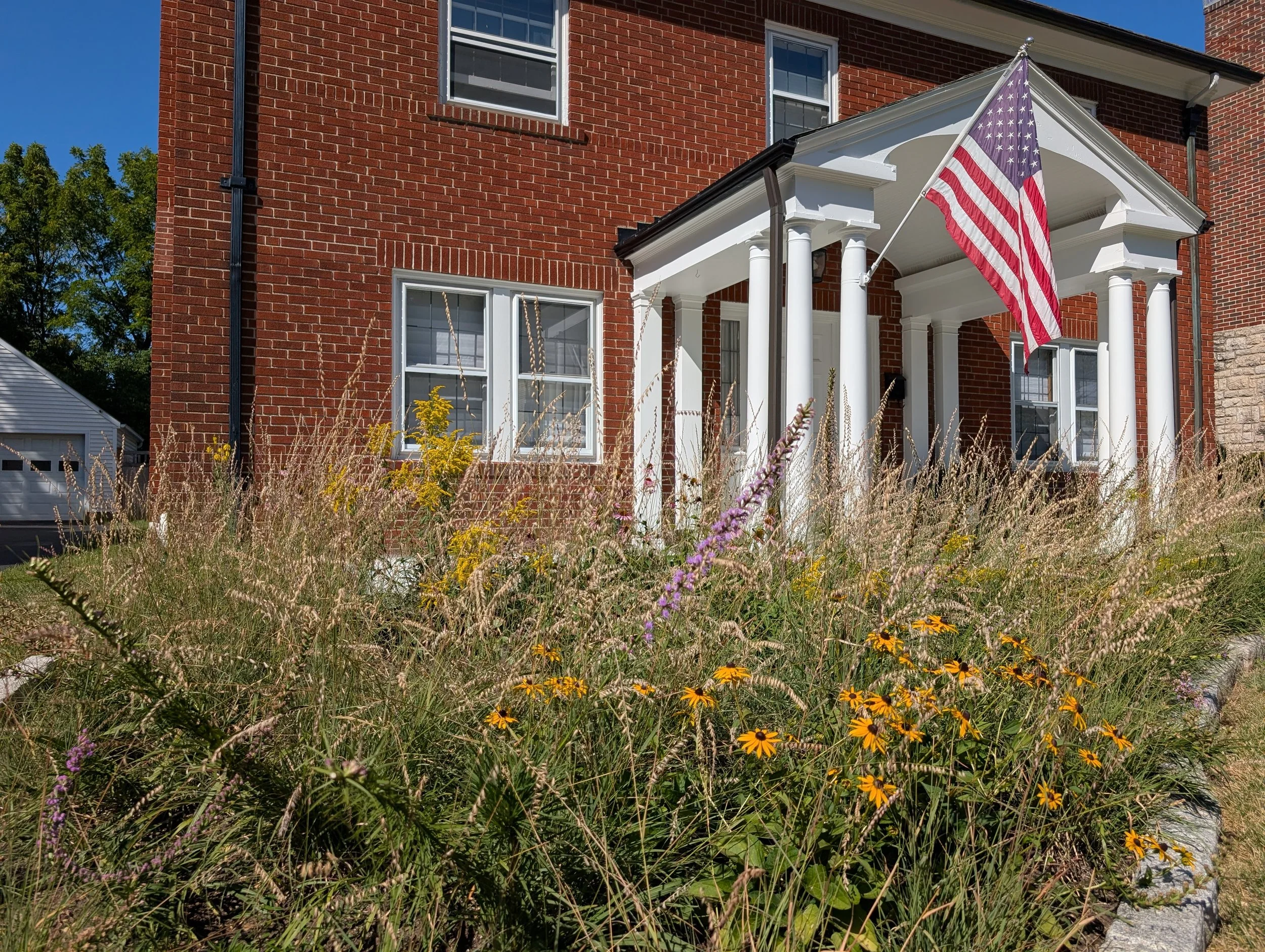 Side oats grama grass matrix with wildflowers