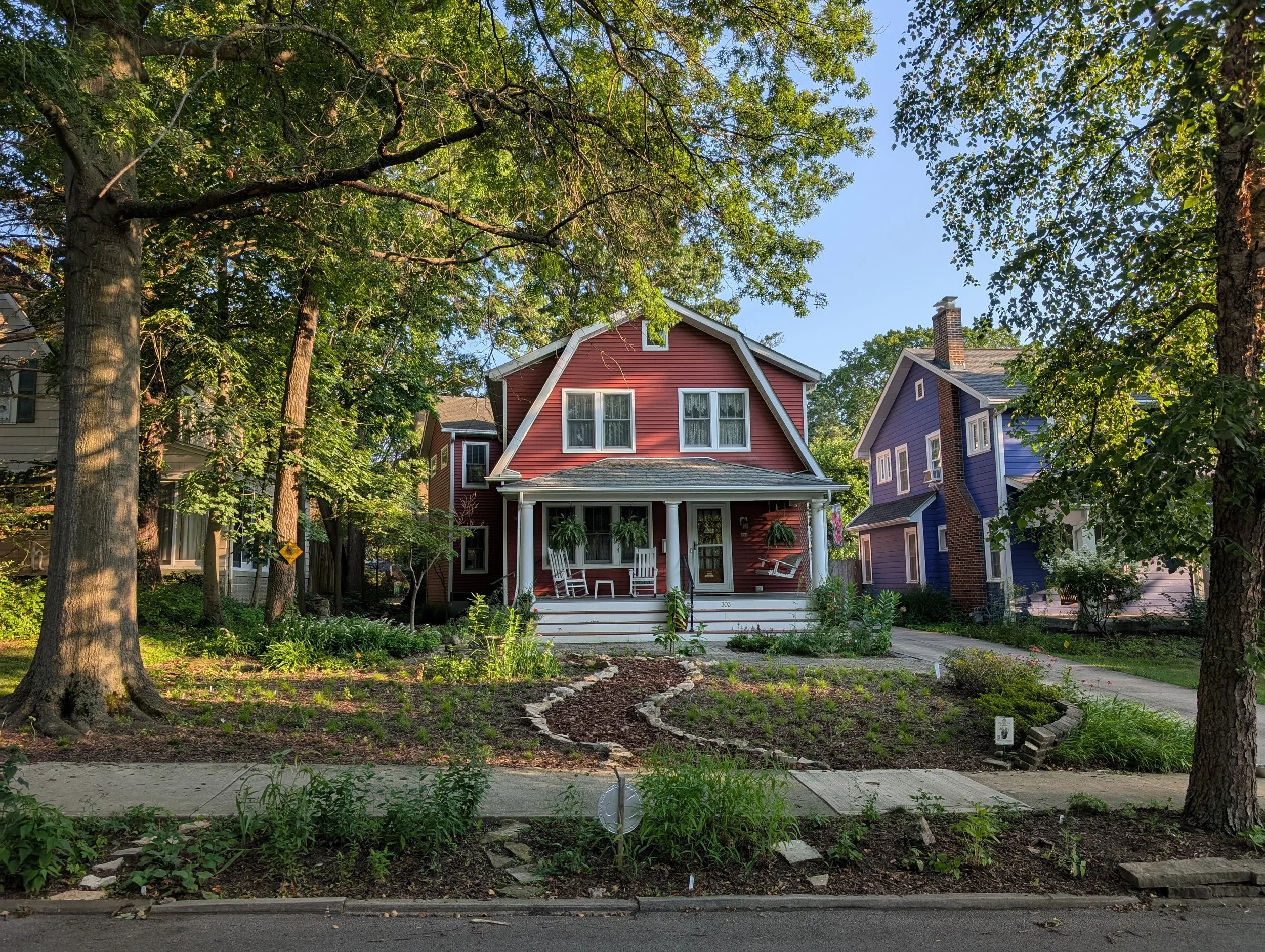 Front yard conversion shade garden with sedges and wildflowers