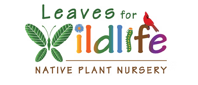 Logo with insects, plants, and birds the spell out Leaves for Wildlife Native Plant Nursery.