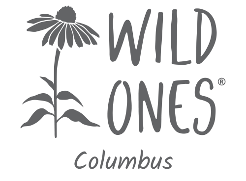 The words Wild Ones Columbus with a drawing of a purple coneflower