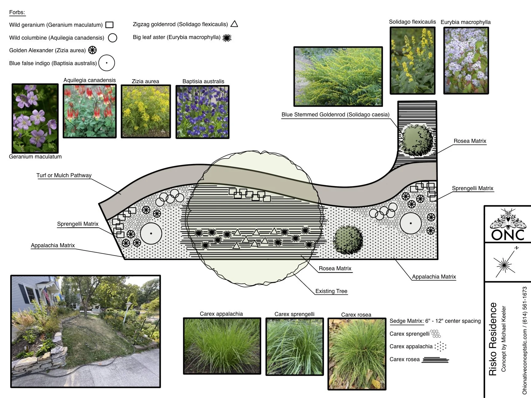 Native plant landscape design plan by Ohio Native Concepts 