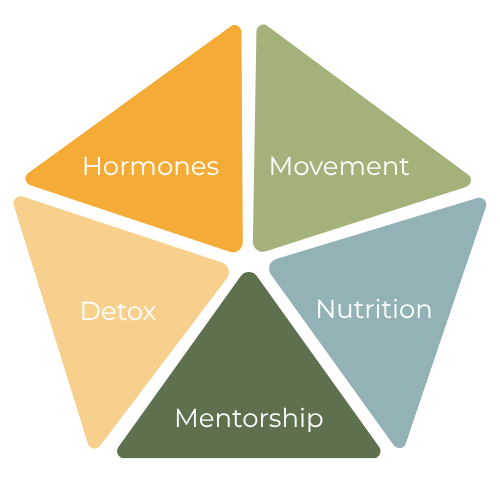 A pentagon chart with five sections labeled Hormones, Movement, Detox, Mentorship, Nutrition, each in different colors.