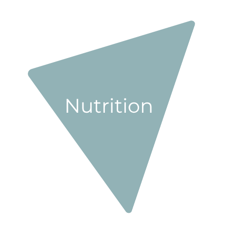 A gray triangle with the word "Nutrition" written in the center on a black background.