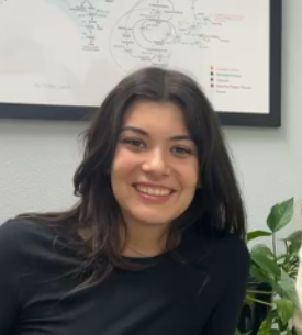 Screenshot 2025-11-04 133718.png