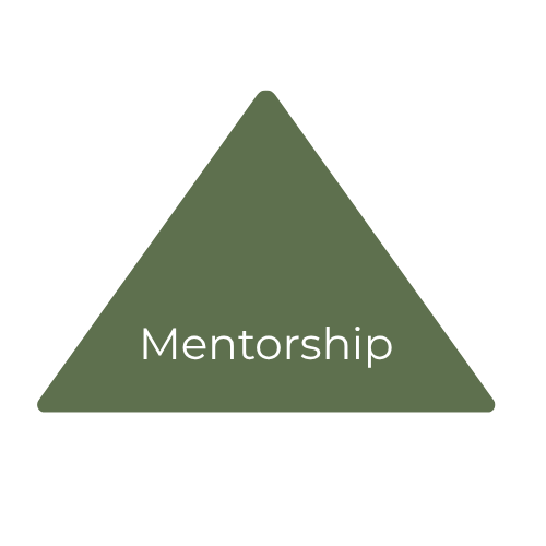 A green triangle with the word "Mentorship" written inside.