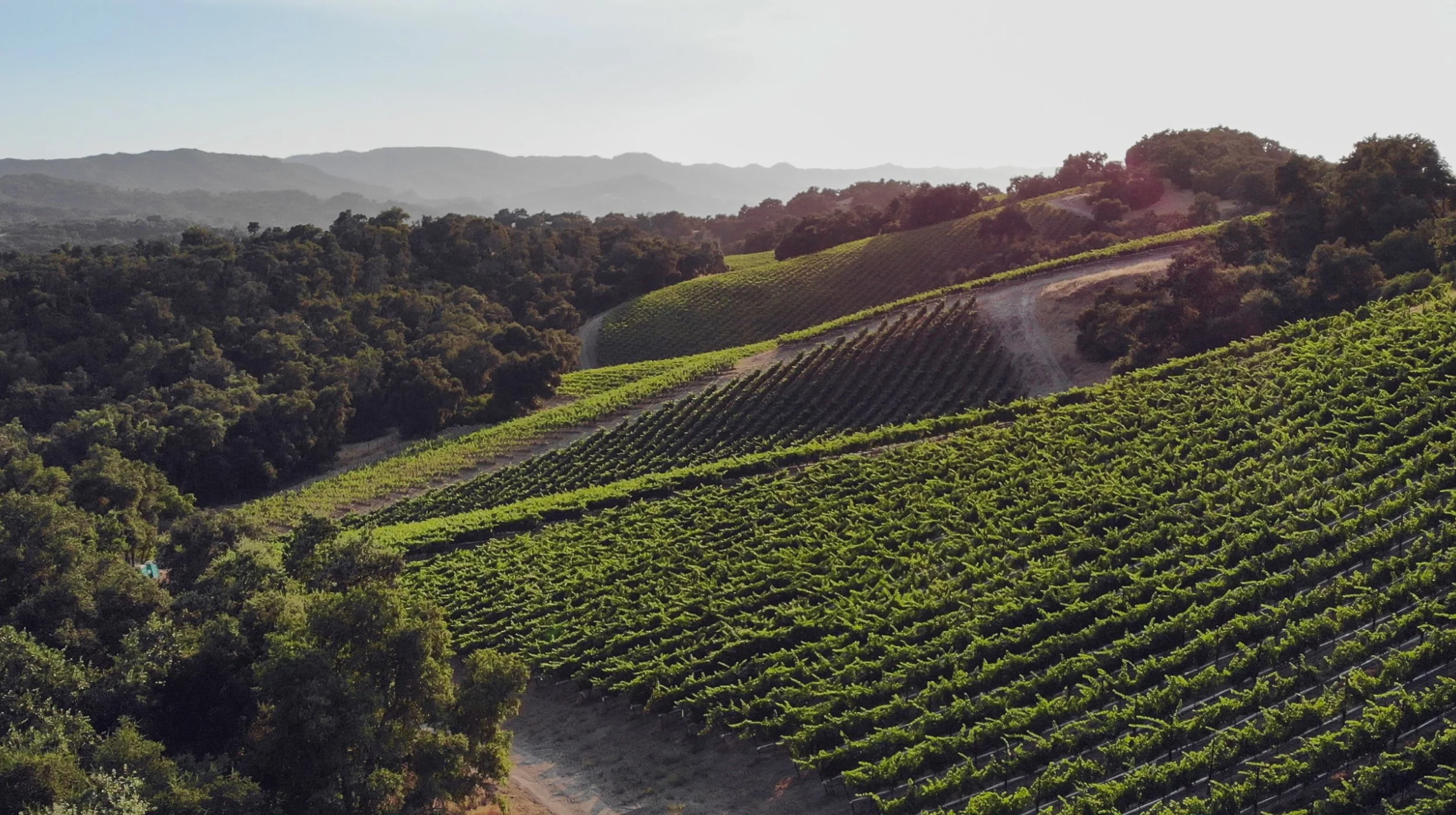 Hawks Hill Ranch Winery: A Gem in the Heart of Paso Robles 