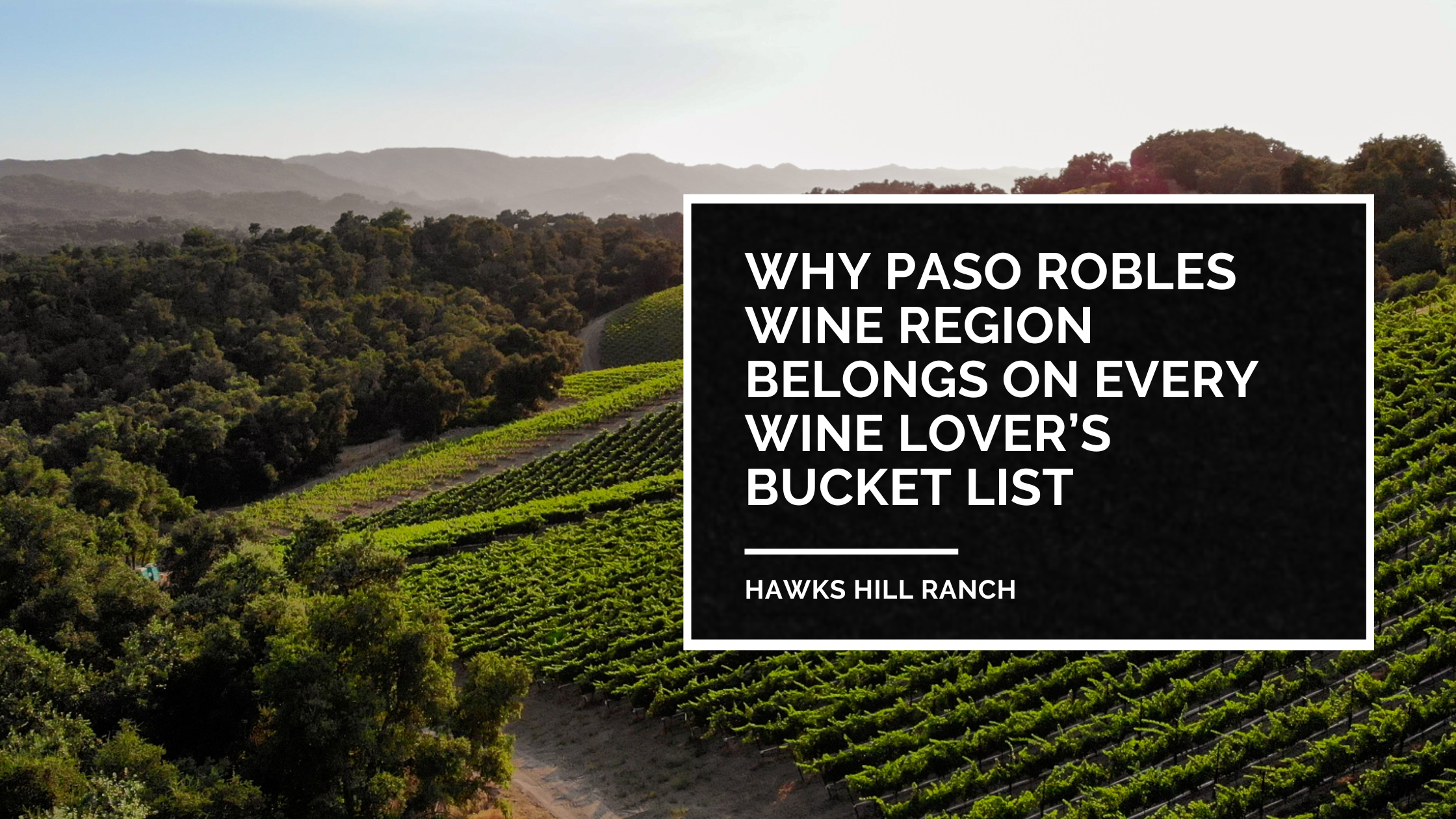 Paso Robles Wine Region is a Must-Visit Destination