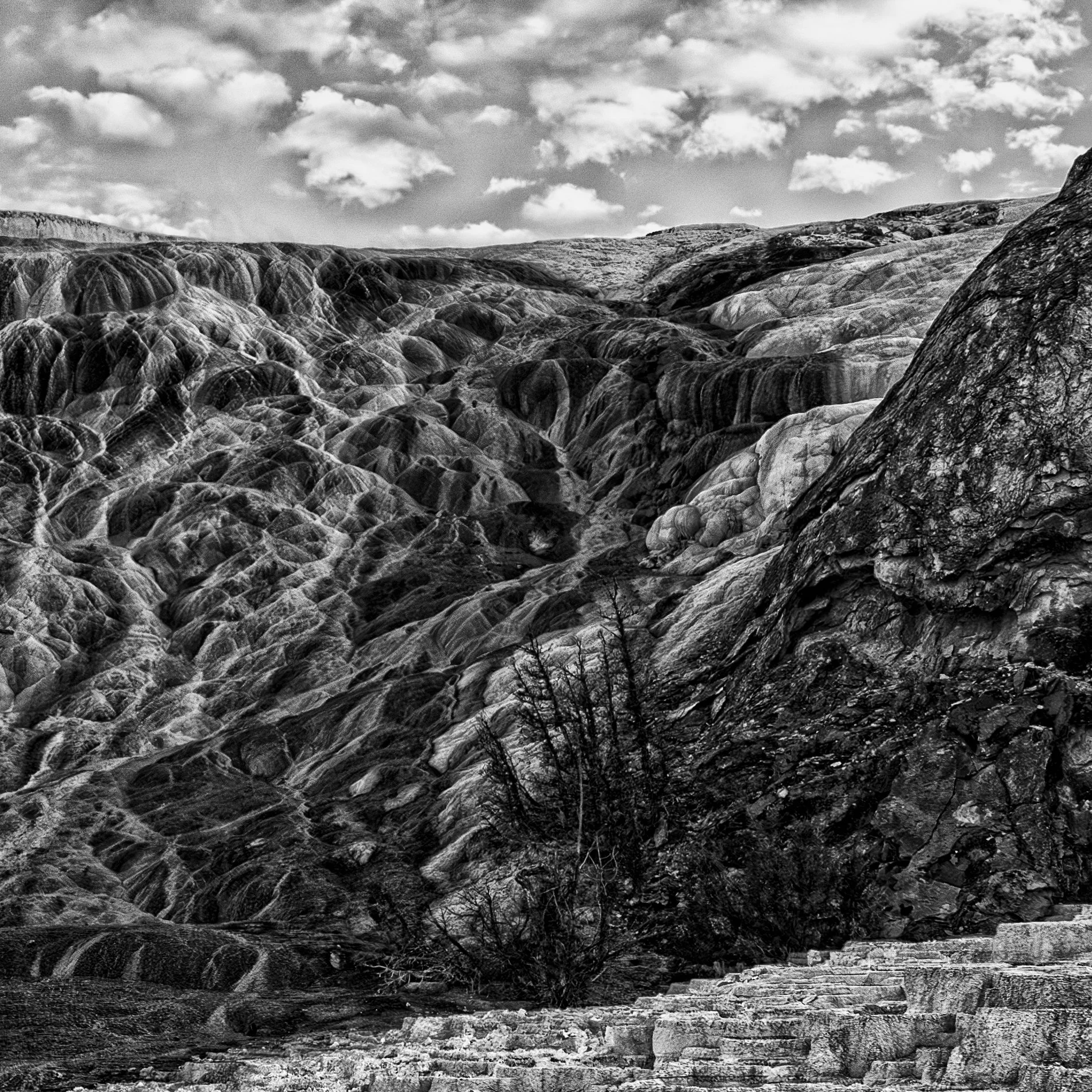 Yellowstone Formation.
Mineral deposits and flowing water have shaped the earth into a landscape that feels almost otherworldly.