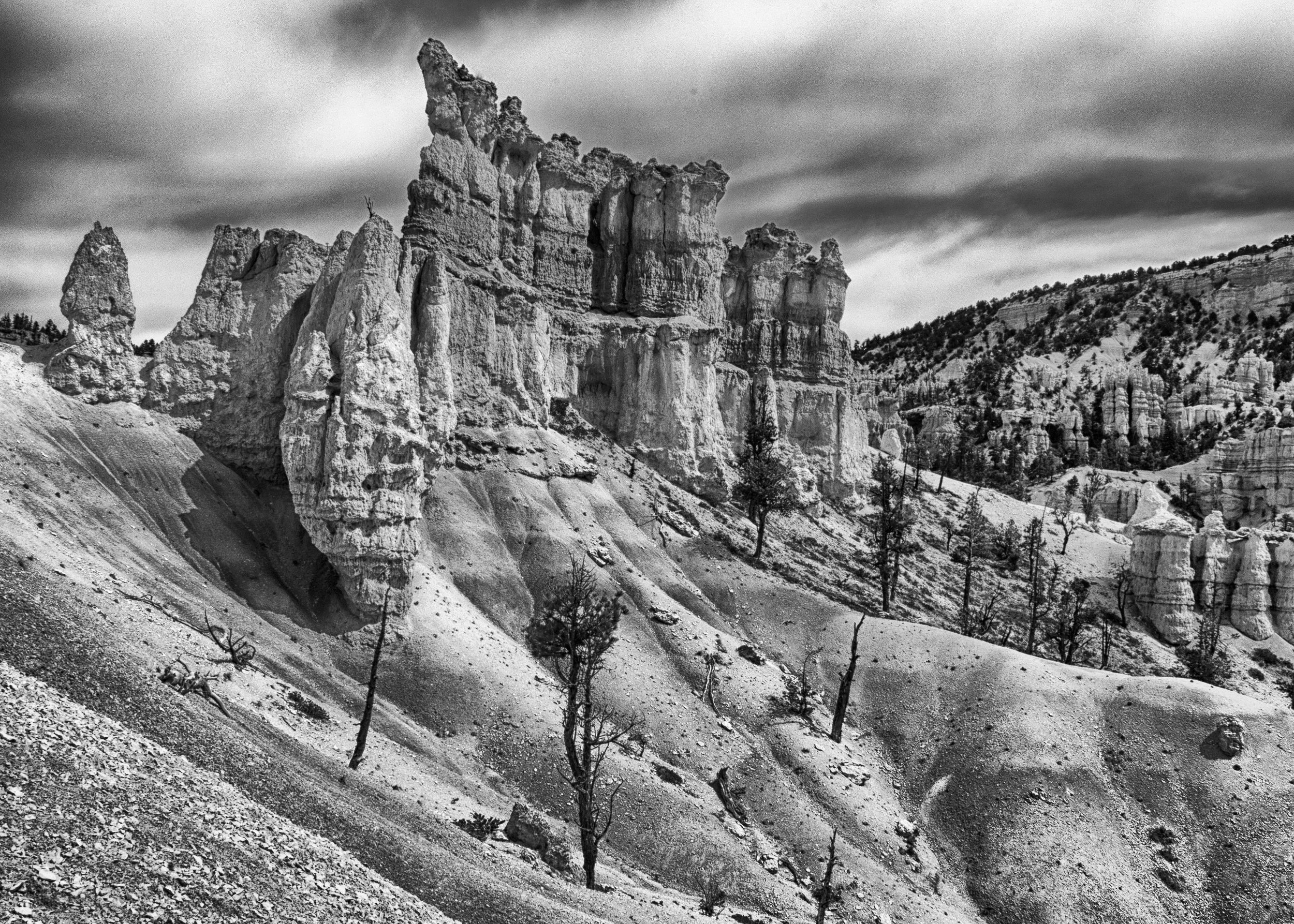 Bryce Canyon Formation.
A solitary stone formation rises above the forest like an ancient monument.