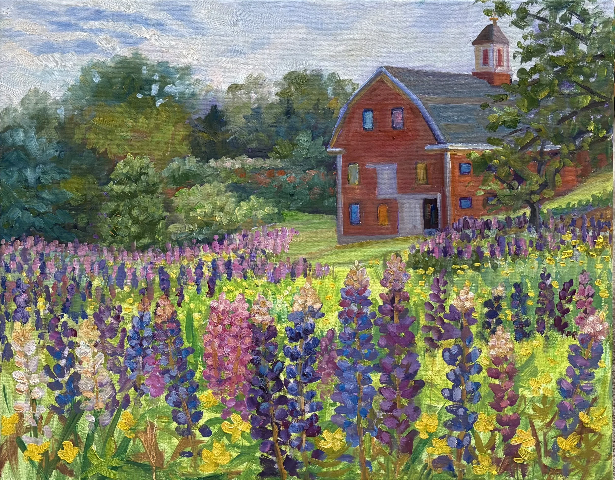 Lupines in Wiscasset
