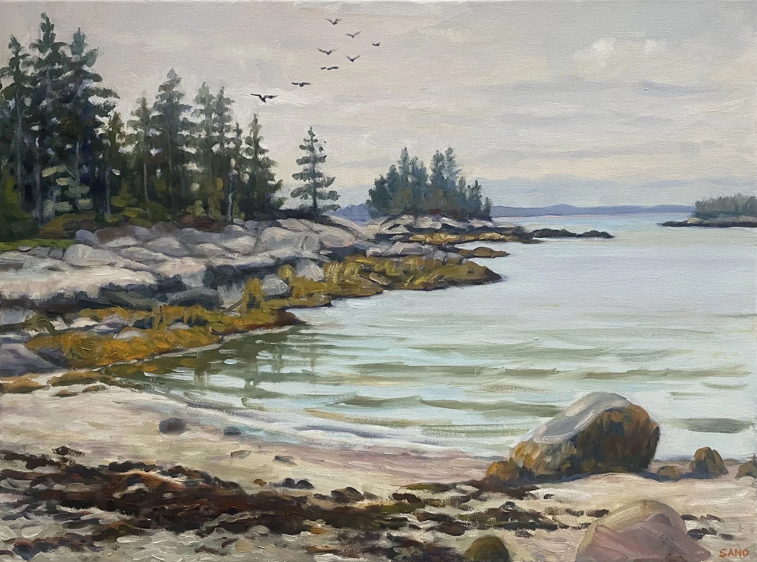 Sand Beach